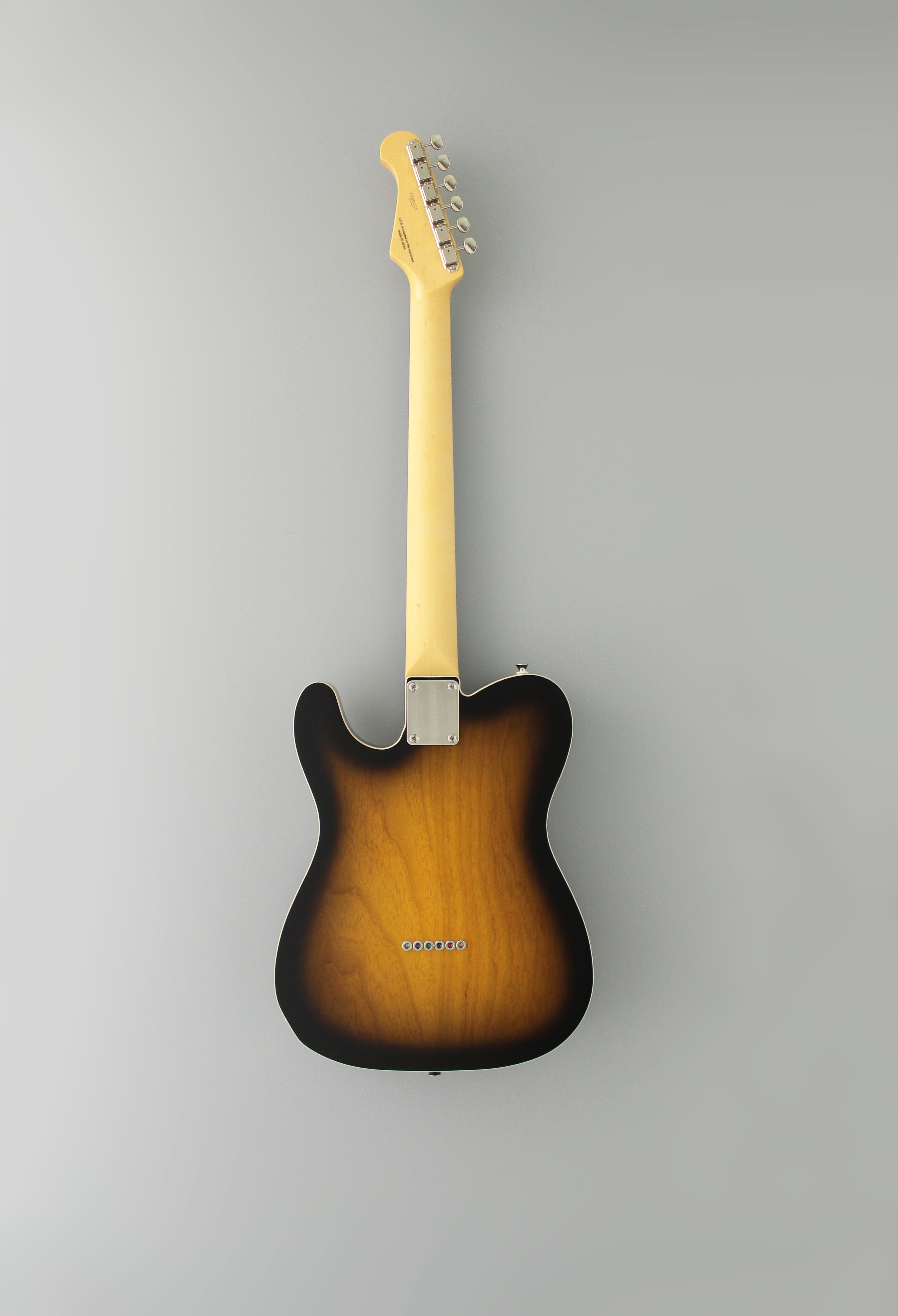 FGN Guitars Neoclassic TE 210R Ash HS 2 Tone Sunburst, Electric Guitar for sale at Richards Guitars.