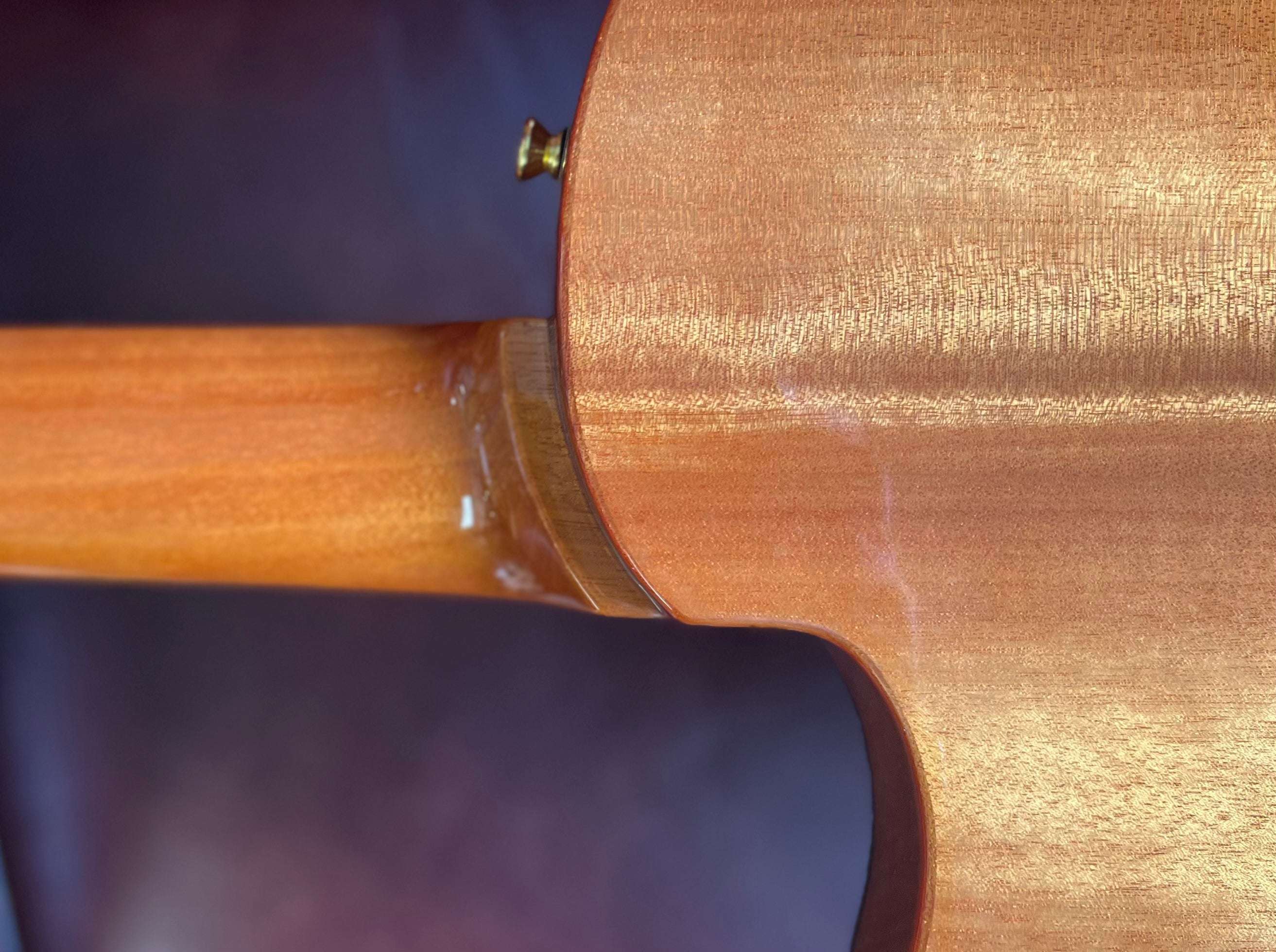 Cordoba Stage Natural Amber, Electro Nylon Strung Guitar for sale at Richards Guitars.