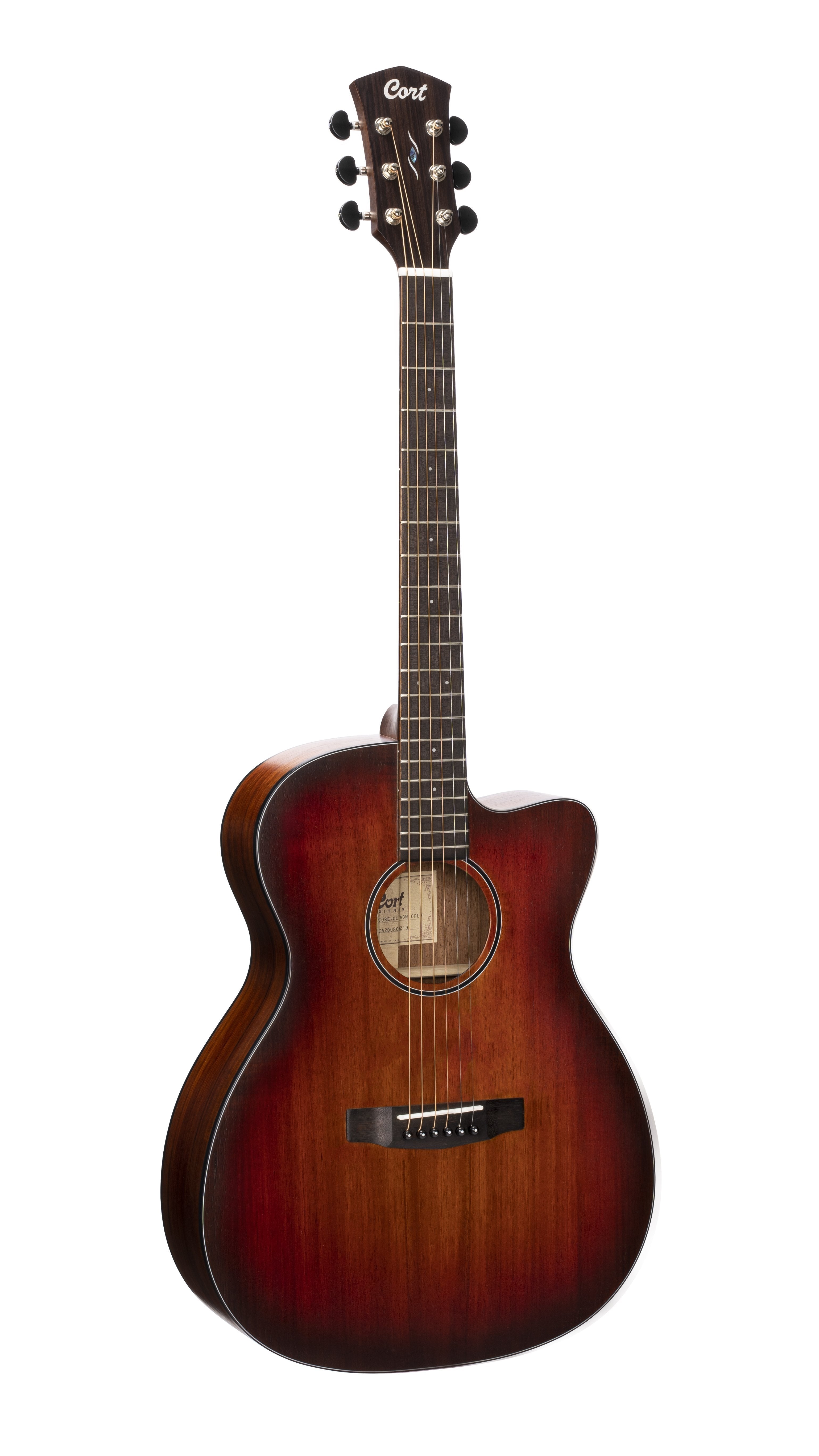 Cort Core-OC Blackwood All Solid Wood Electro Acoustic Guitar, Electro Acoustic Guitar for sale at Richards Guitars.