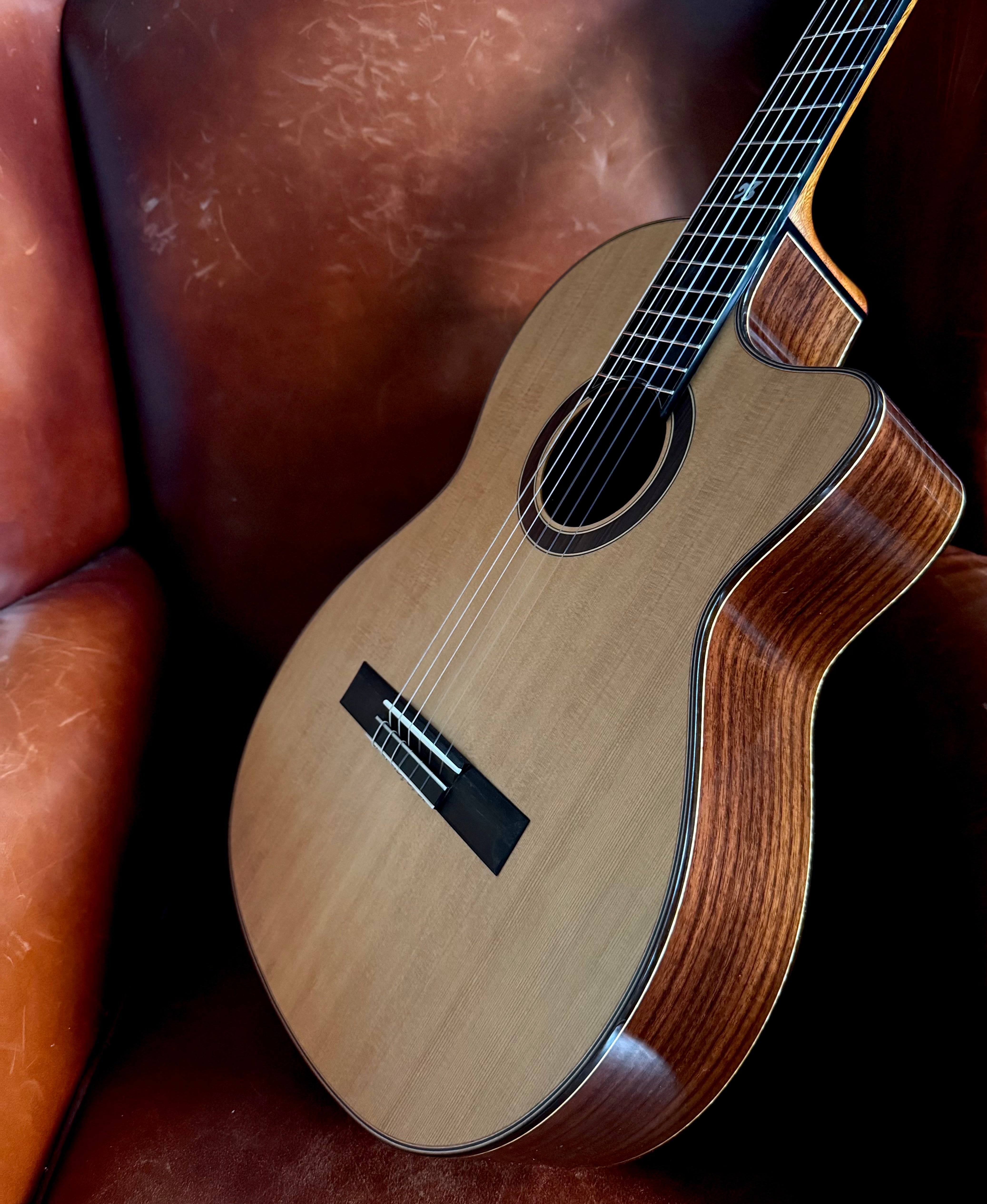 Duke Crossover PC Signature Julie Malia (Jule Malischke) Nylon Strung Hybrid Classical Guitar