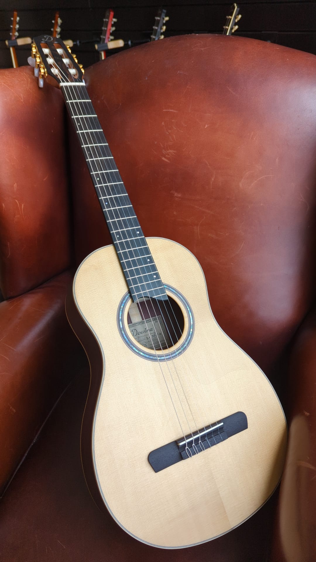 Dowina Rosewood DLX BV-H TSWS, Nylon Strung Guitar for sale at Richards Guitars.