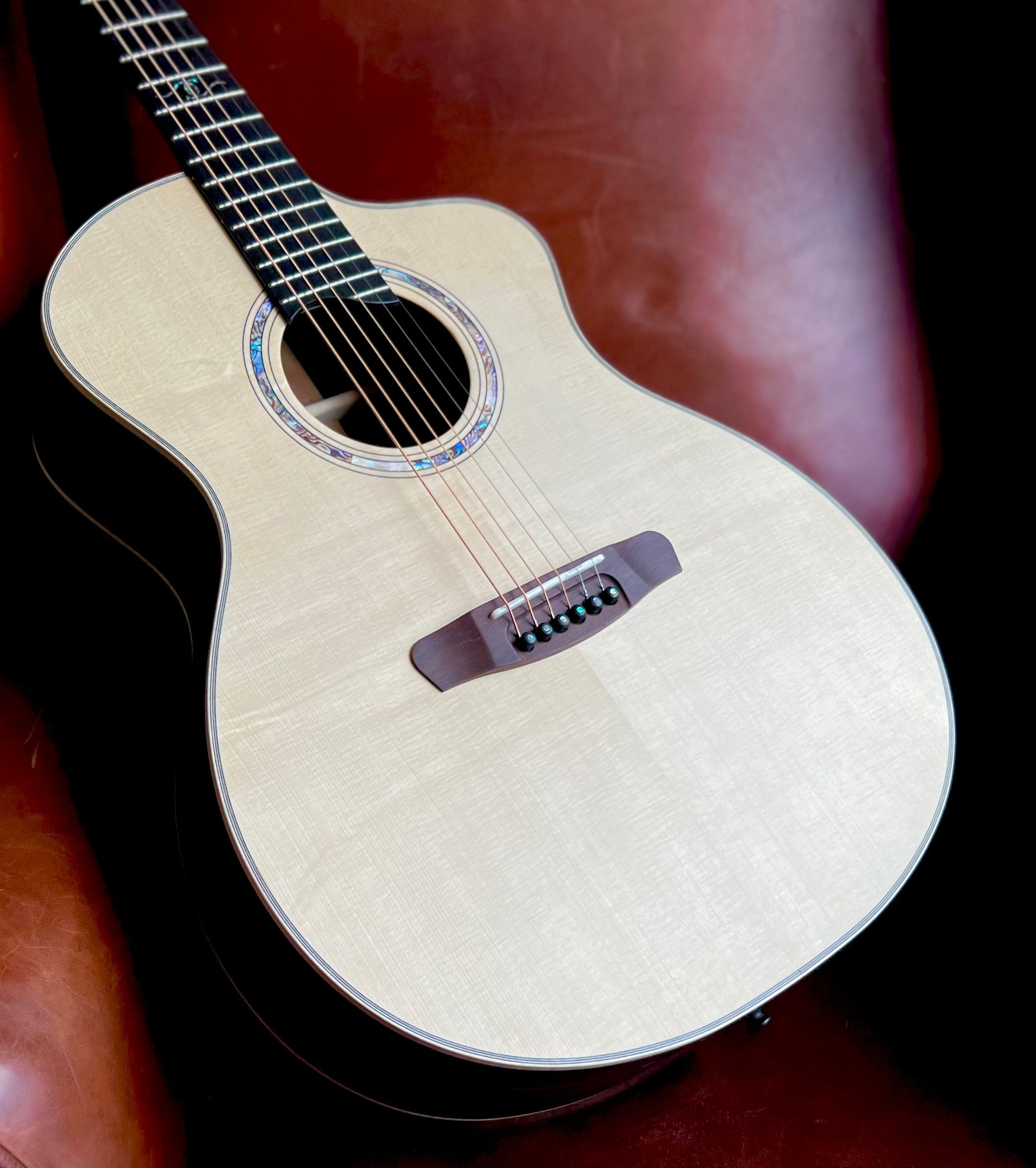 Dowina Cocobolo III Trio Plate GAC Deluxe (Torrified Swiss Moon Spruce), Acoustic Guitar for sale at Richards Guitars.