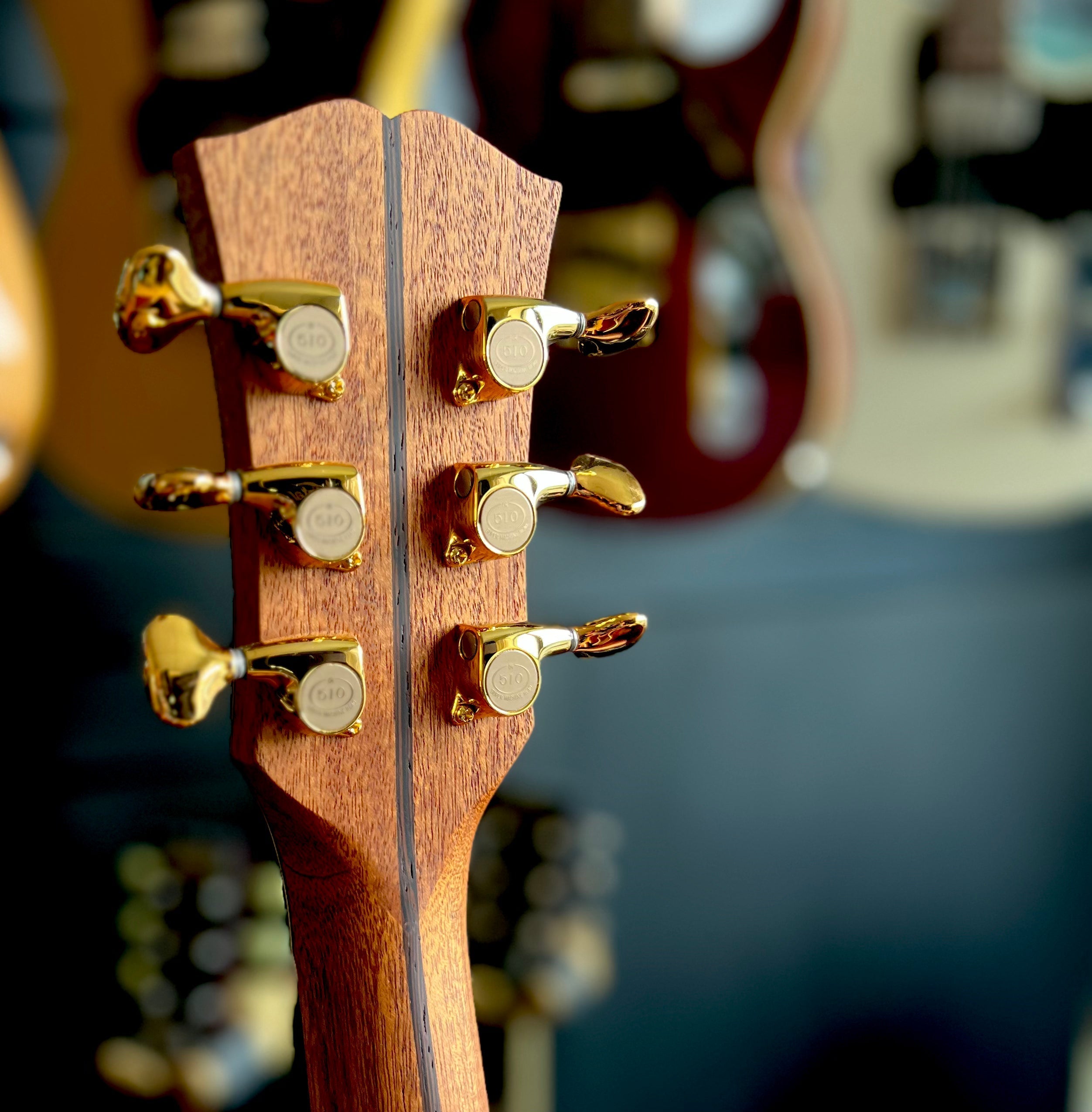 Dowina Cocobolo III Trio Plate GAC Deluxe (Torrified Swiss Moon Spruce), Acoustic Guitar for sale at Richards Guitars.