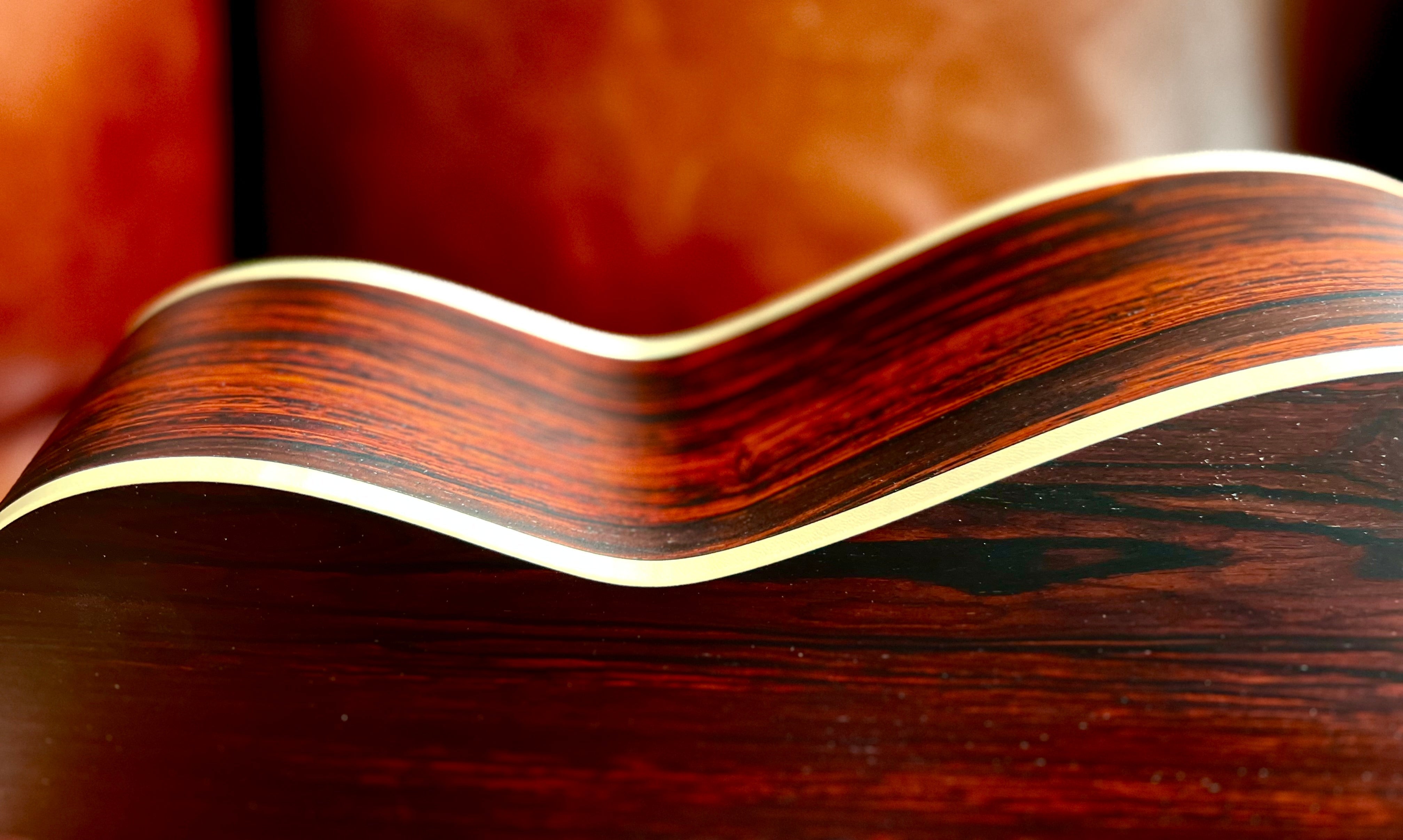 Dowina Cocobolo OMG, Acoustic Guitar for sale at Richards Guitars.