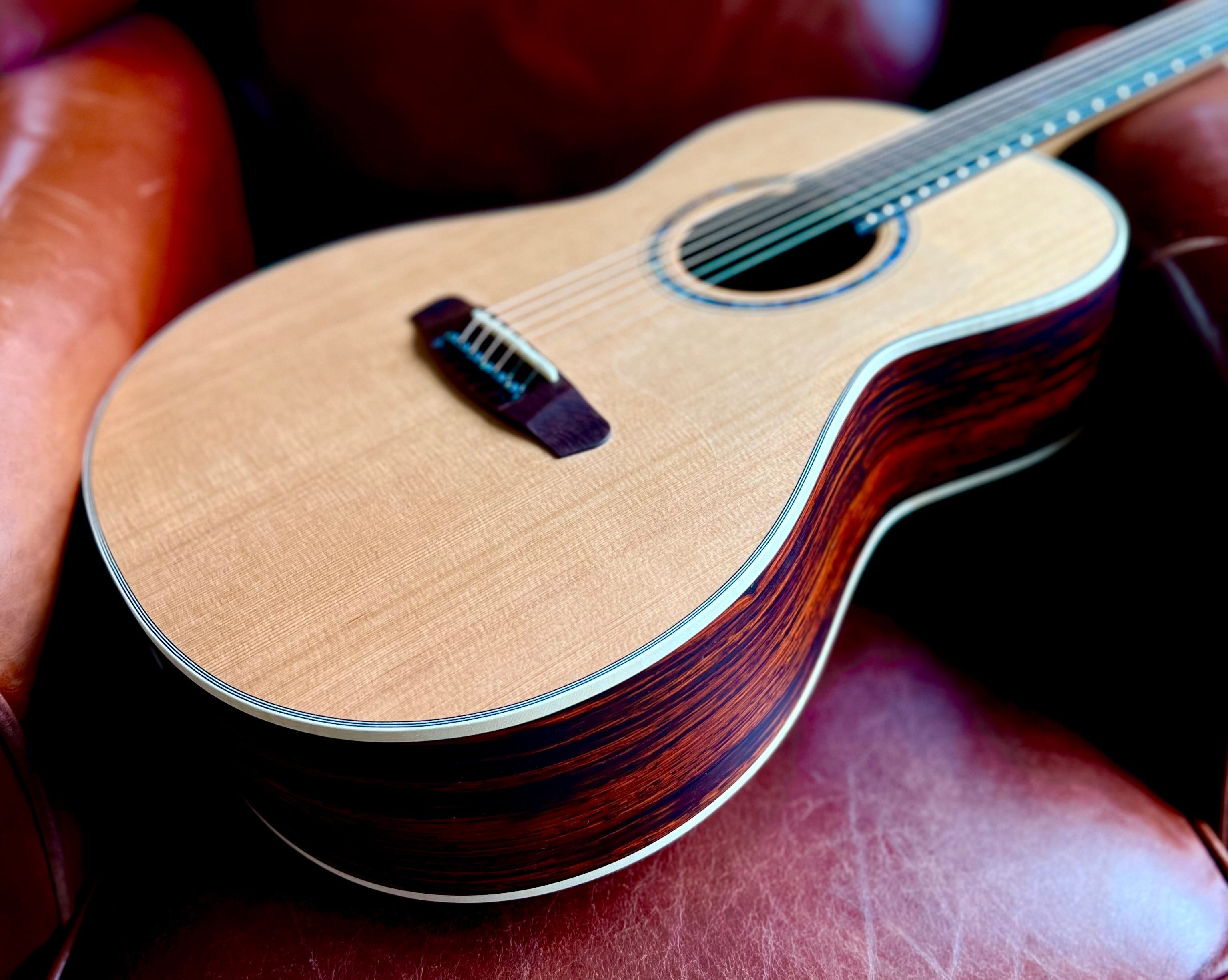 Dowina Cocobolo OMG, Acoustic Guitar for sale at Richards Guitars.