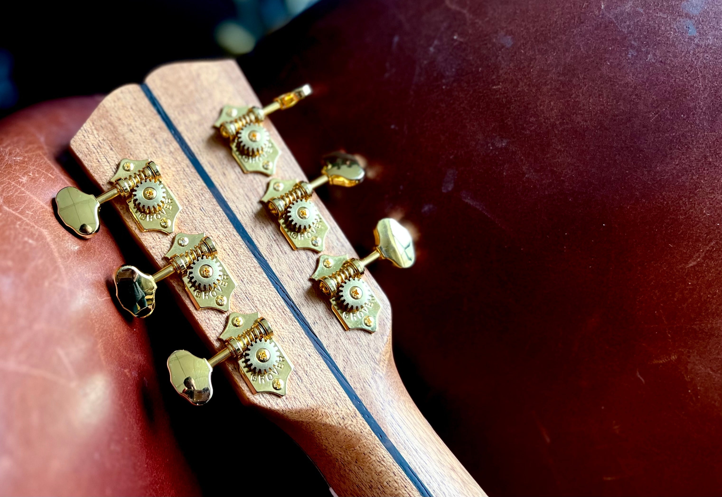 Dowina Cocobolo OMG, Acoustic Guitar for sale at Richards Guitars.