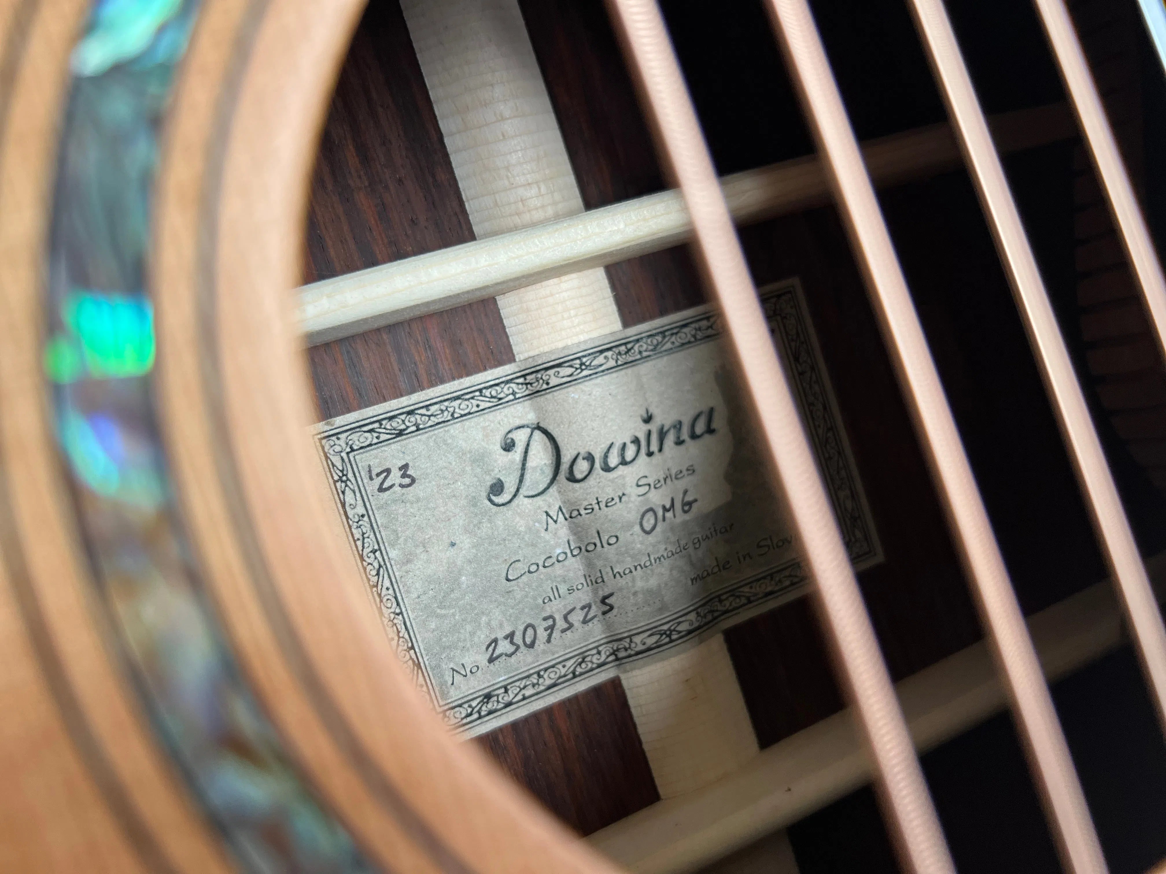 Dowina Cocobolo OMG-H Nylon Hybrid, Acoustic Guitar for sale at Richards Guitars.