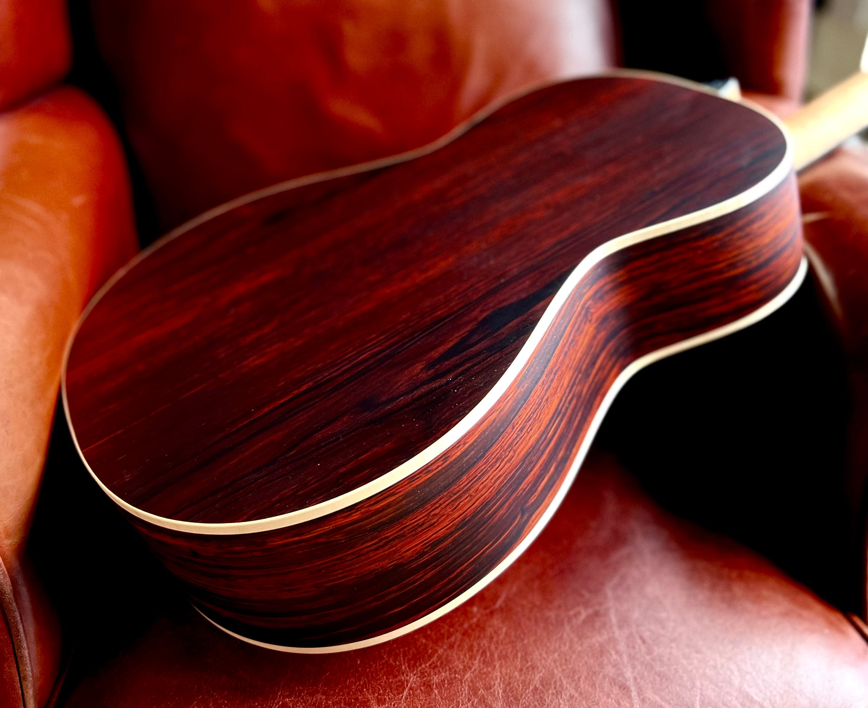 Dowina Cocobolo OMG-H Nylon Hybrid, Acoustic Guitar for sale at Richards Guitars.