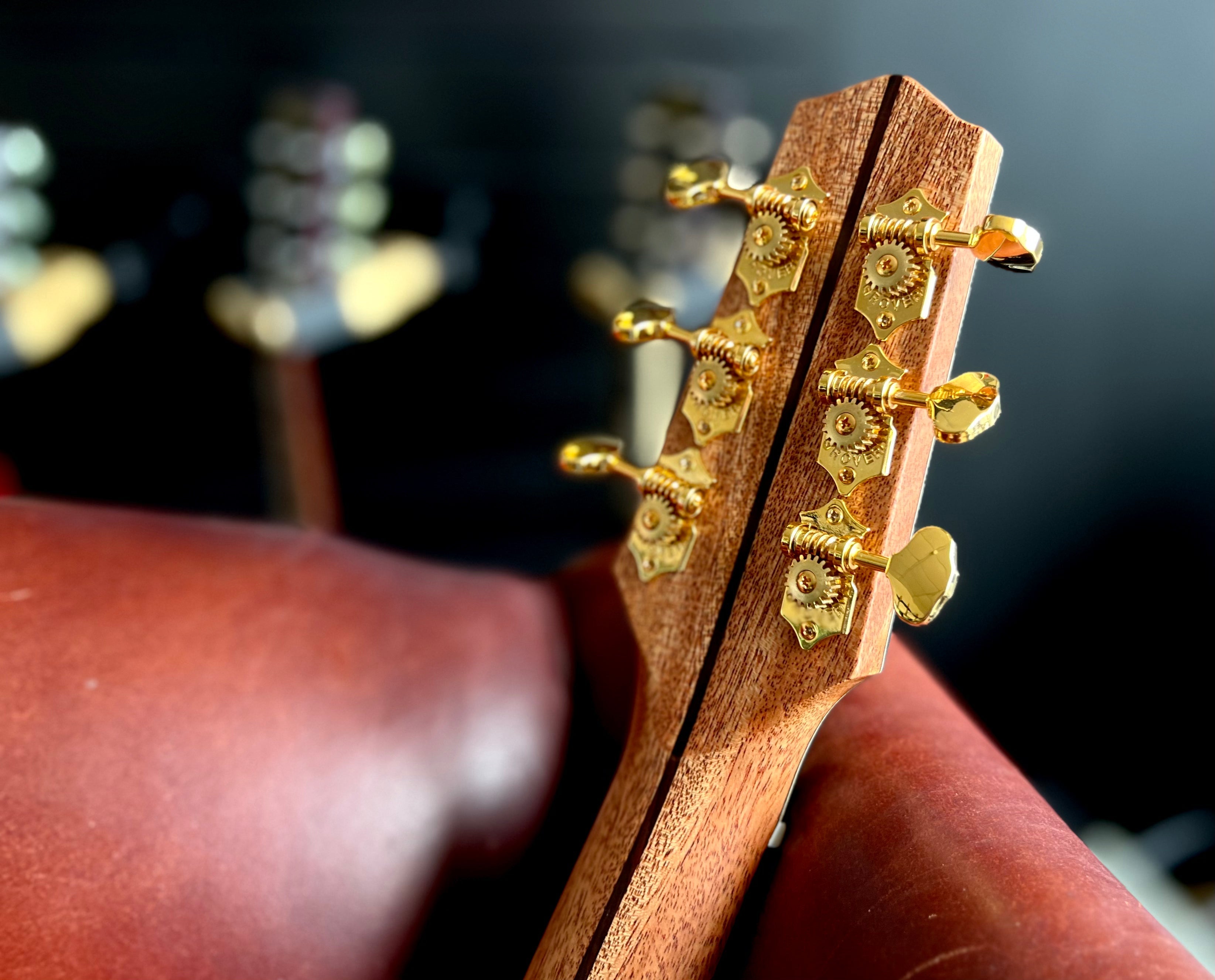 Dowina Cocobolo Trio Plate BV (Cocobolo III), Acoustic Guitar for sale at Richards Guitars.