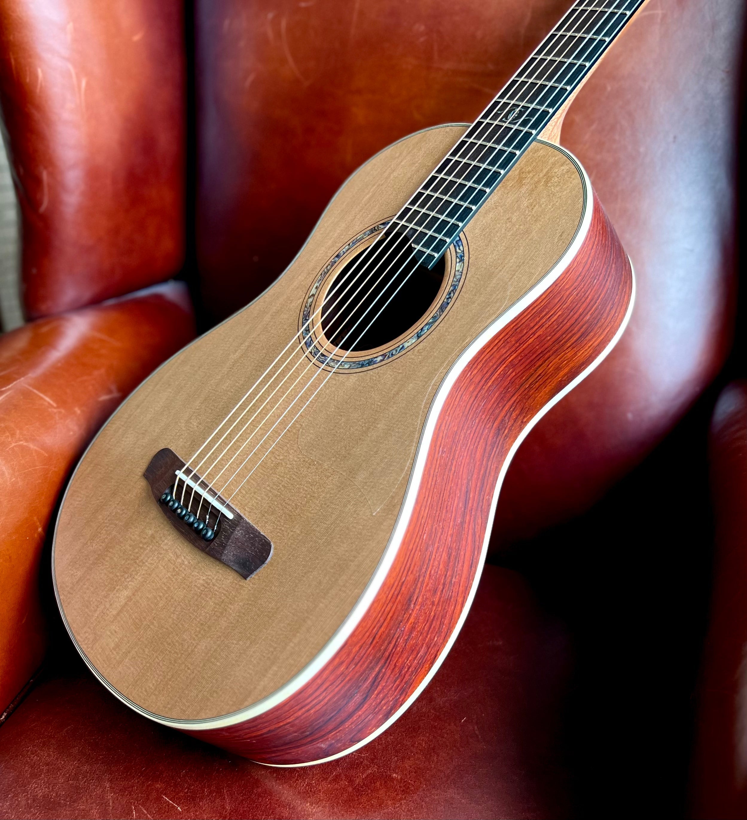 Dowina Cocobolo Trio Plate BV (Cocobolo III), Acoustic Guitar for sale at Richards Guitars.