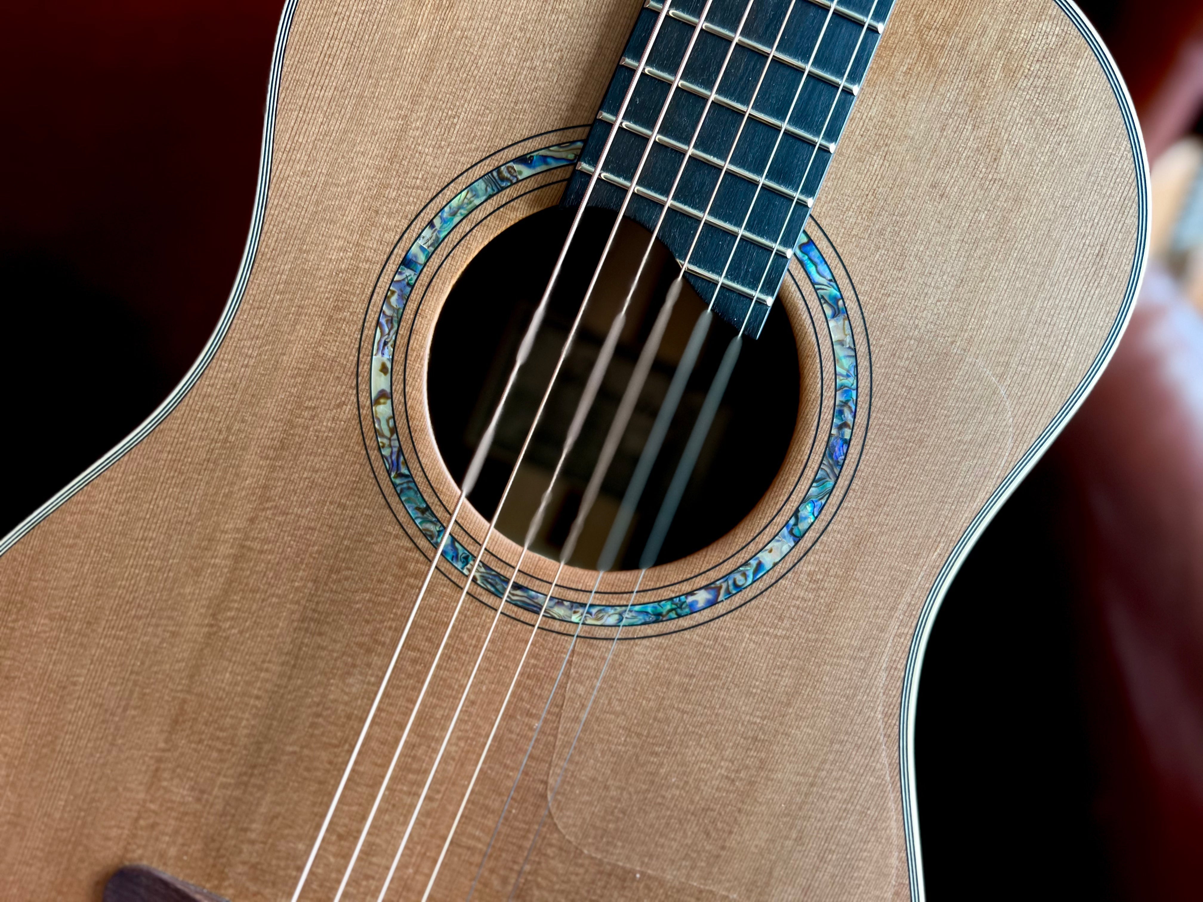 Dowina Cocobolo Trio Plate BV (Cocobolo III), Acoustic Guitar for sale at Richards Guitars.