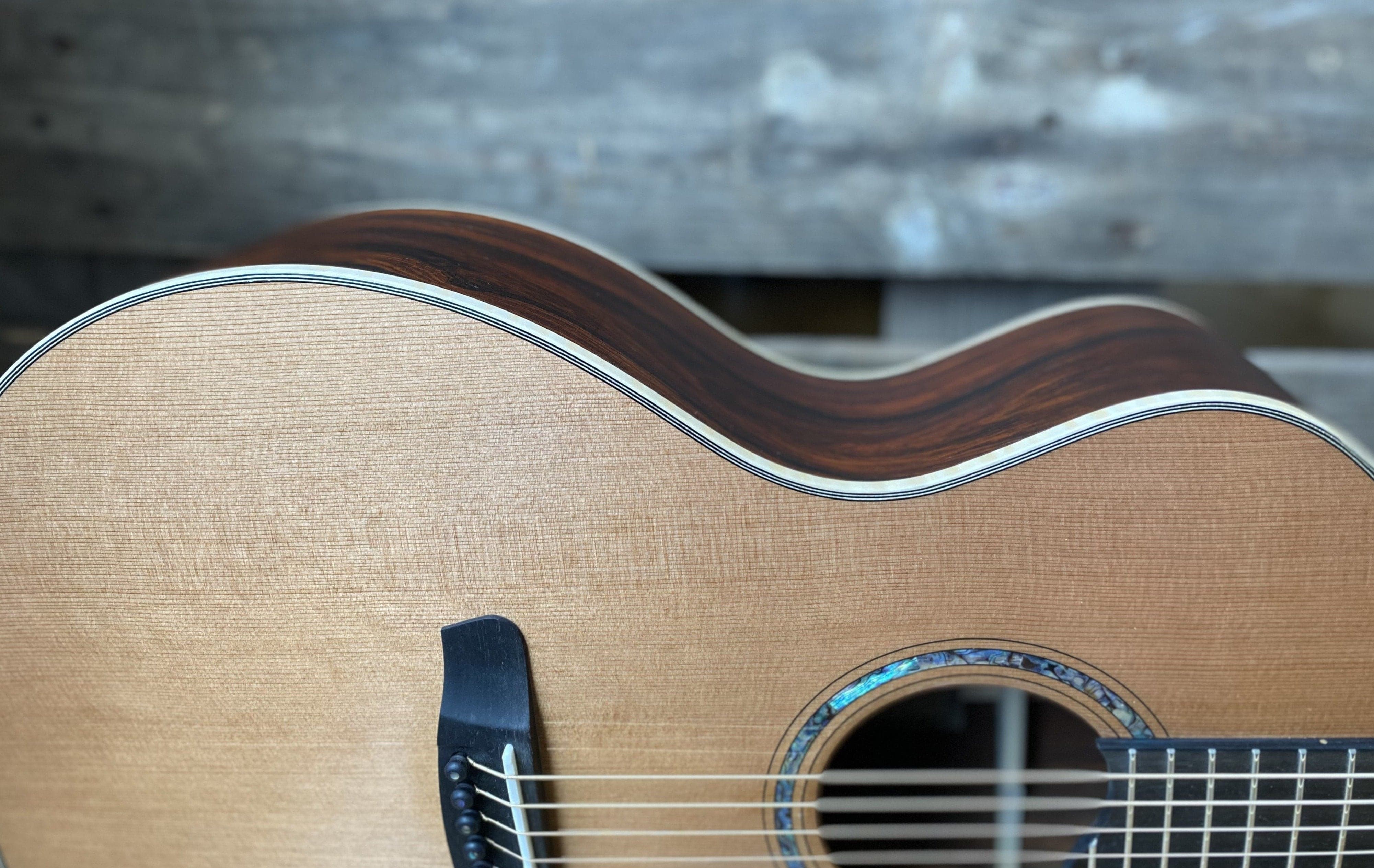 Dowina Cocobolo Trio Plate (Cocobolo III) GACE With LR Baggs Anthem, Acoustic Guitar for sale at Richards Guitars.