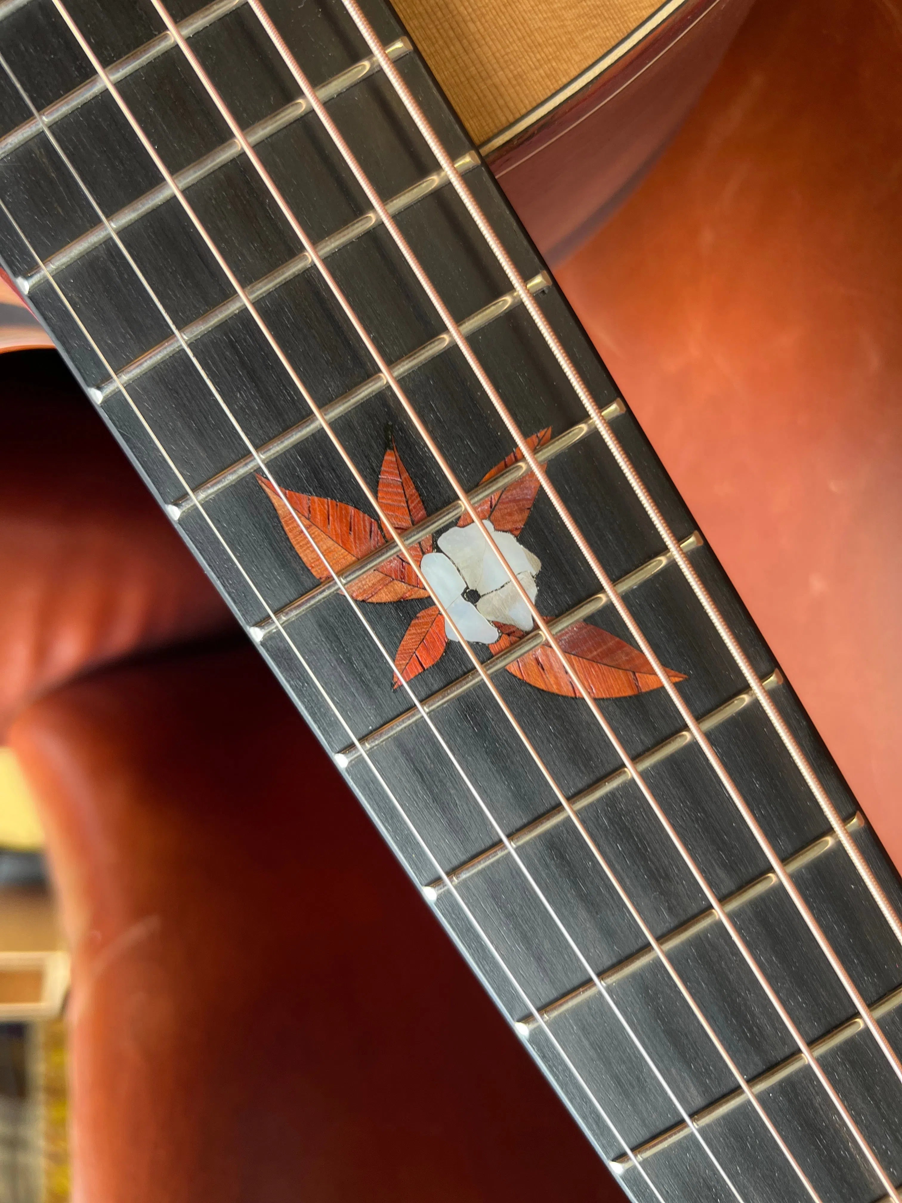 Dowina Figured Ebony GAC, Acoustic Guitar for sale at Richards Guitars.