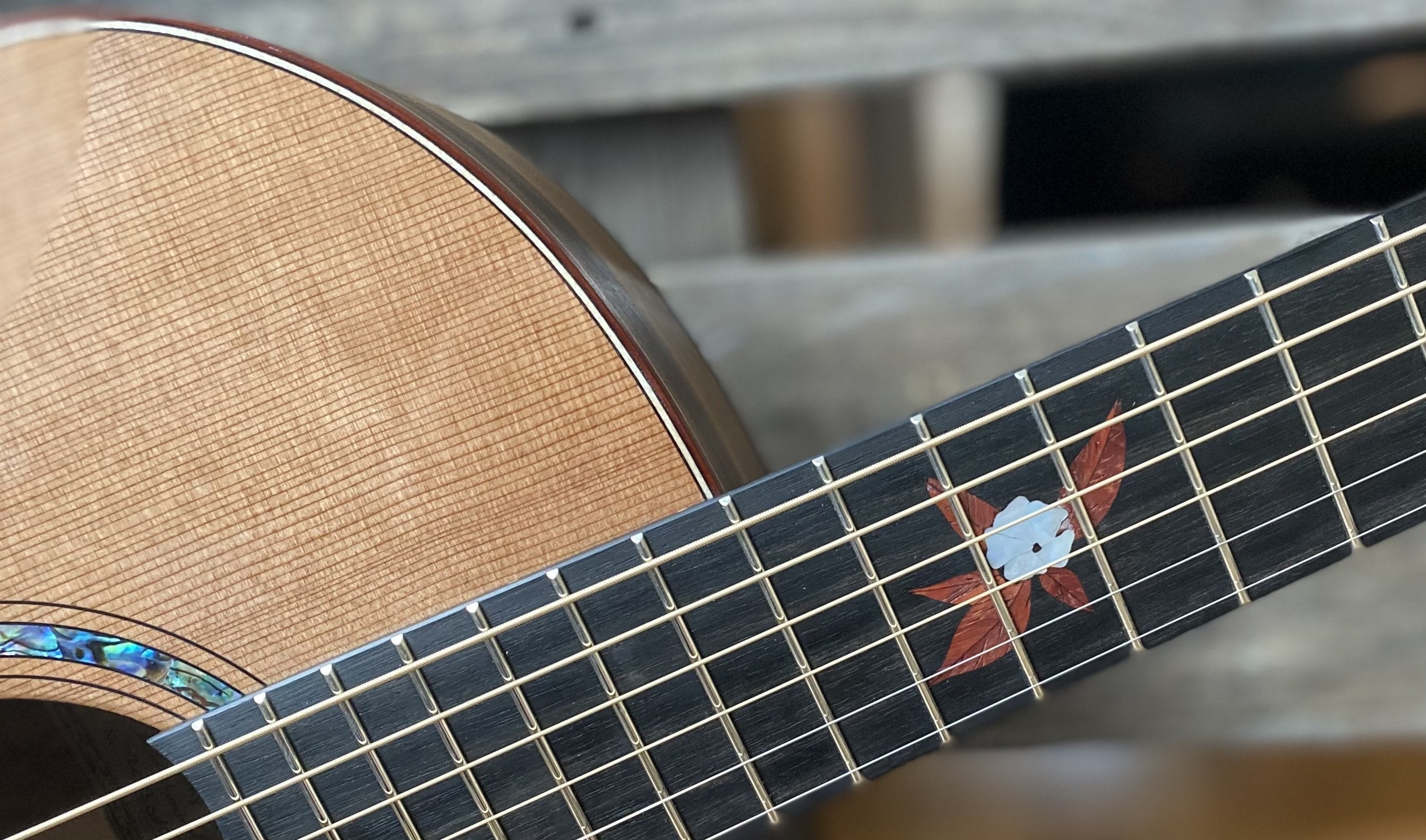 Dowina Figured Ebony GAC Deluxe Masters With Torrifed Swiss Moon Spruce Top