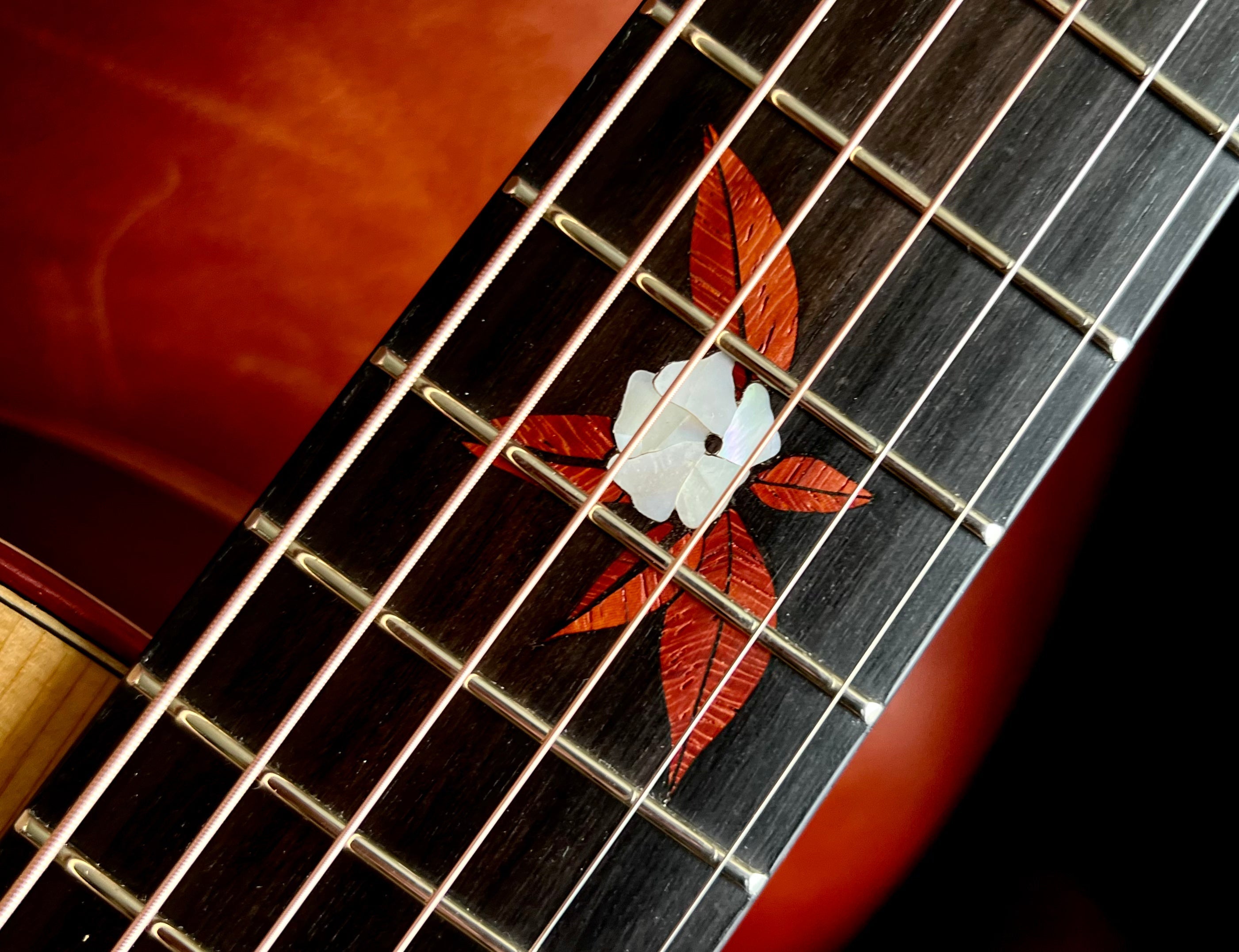 Dowina Figured Ebony GAC Deluxe Masters With Torrifed Swiss Moon Spruce Top, Acoustic Guitar for sale at Richards Guitars.