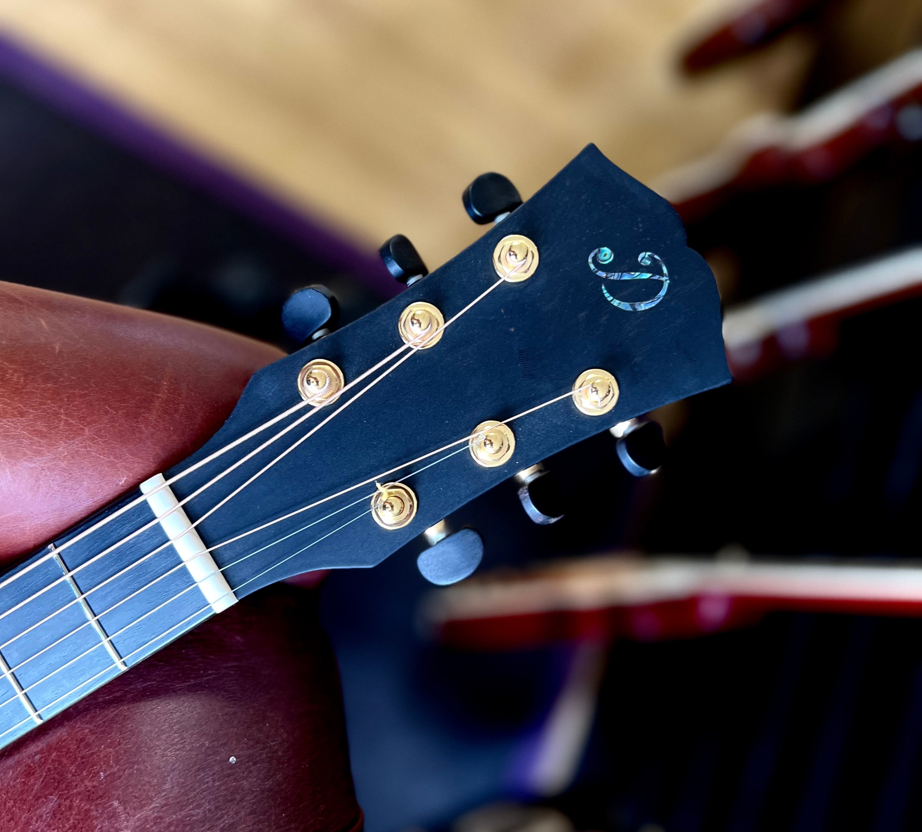 Dowina Figured Ebony GAC, Acoustic Guitar for sale at Richards Guitars.