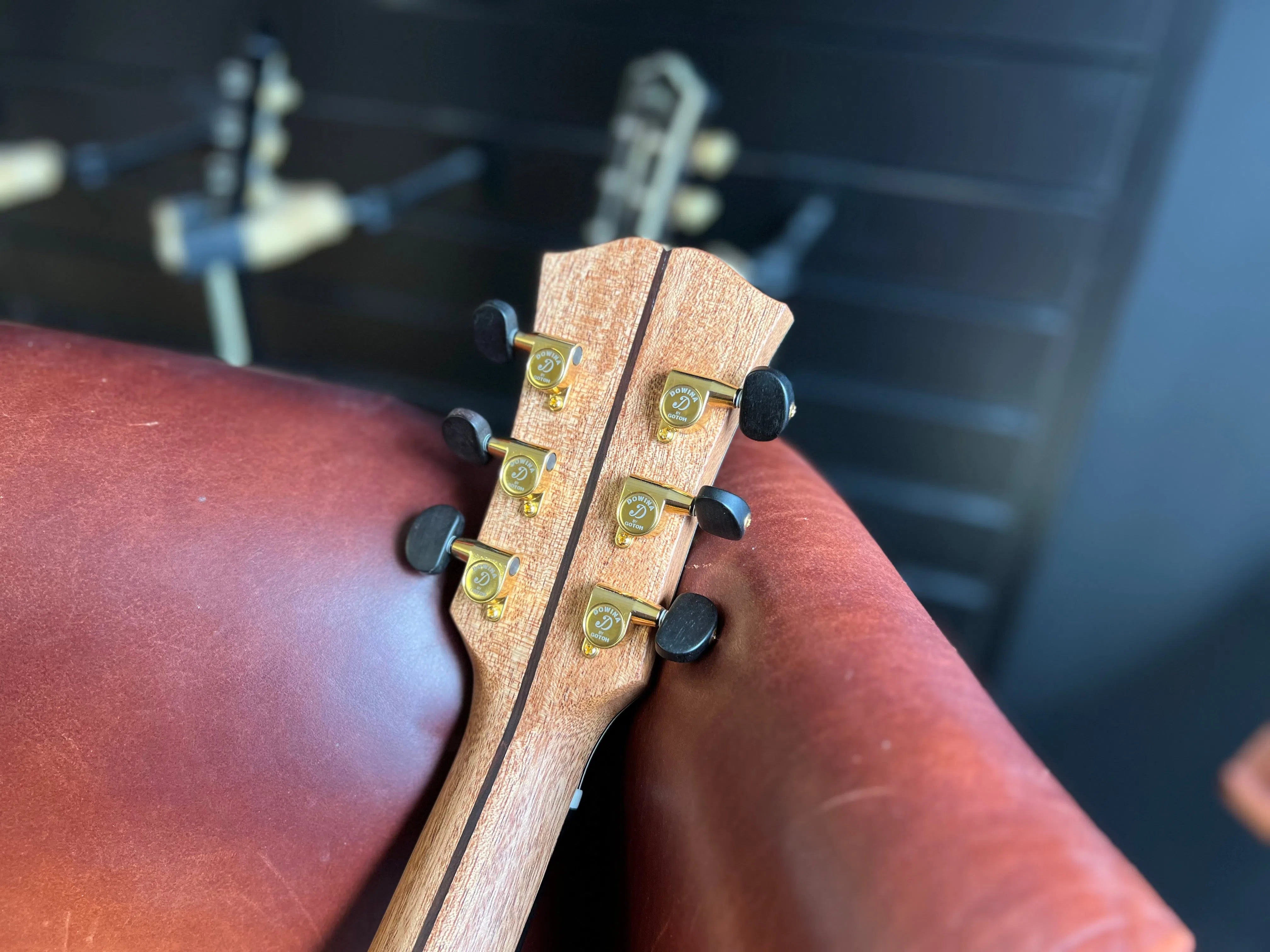 Dowina Figured Ebony GAC, Acoustic Guitar for sale at Richards Guitars.