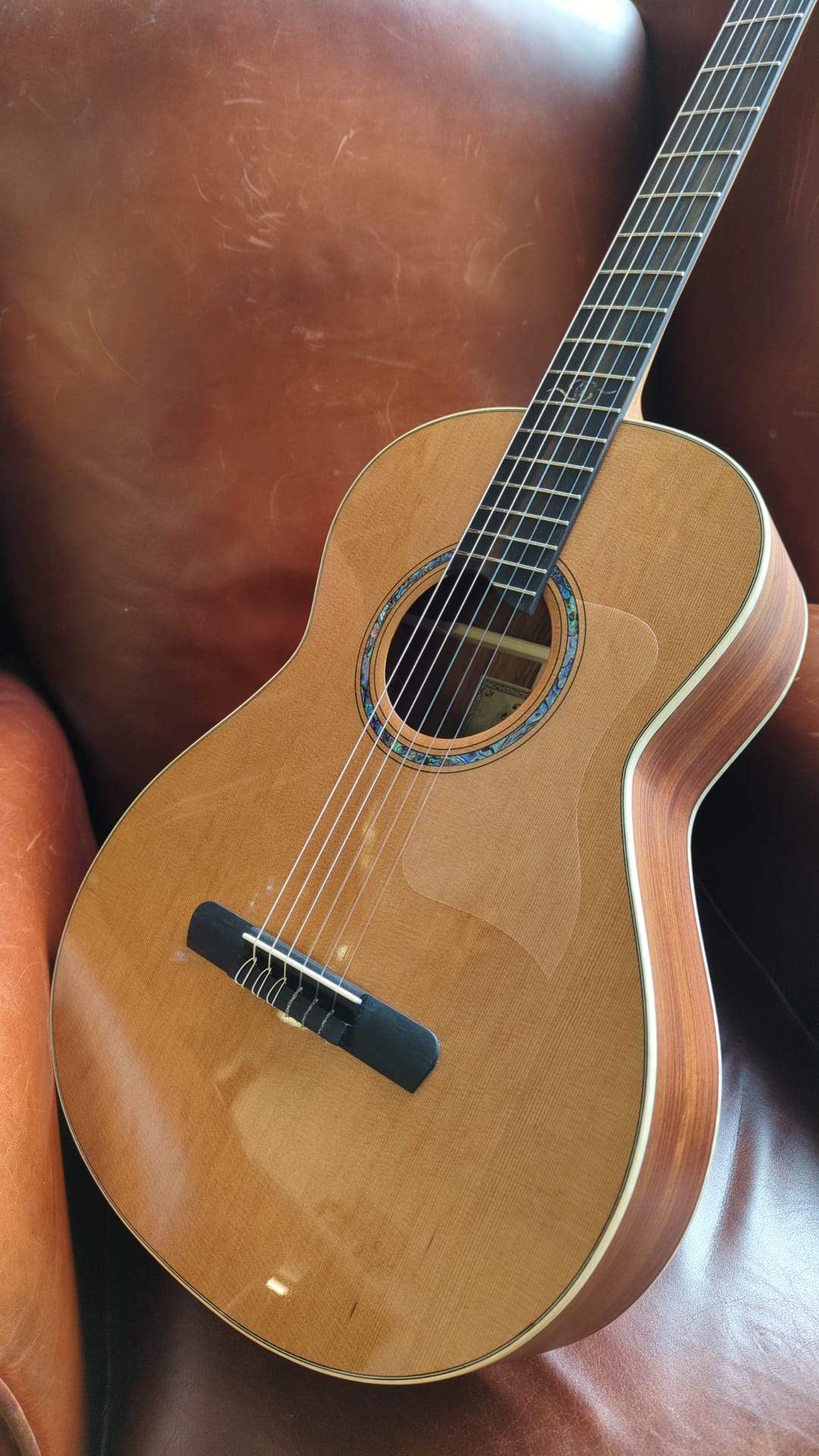 Dowina Granadillo OMG-H (Nylon), Nylon Strung Guitar for sale at Richards Guitars.