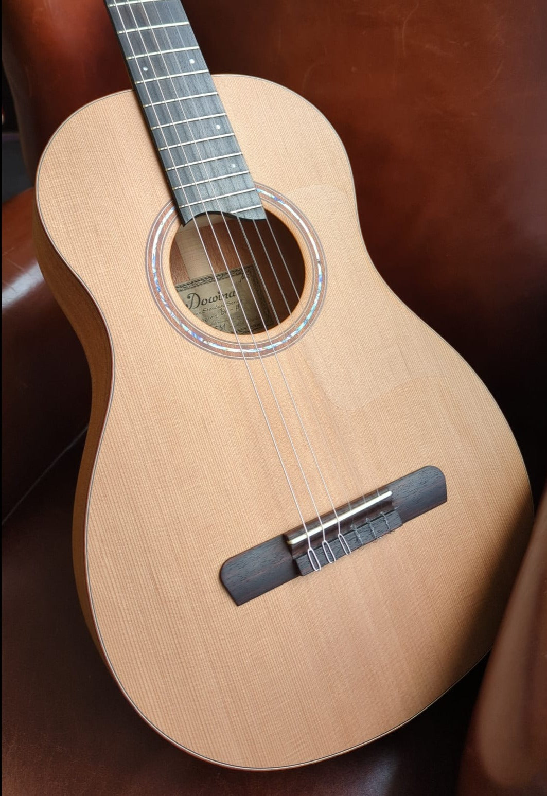 Dowina Mahogany BV-H Nylon Hybrid, Nylon Strung Guitar for sale at Richards Guitars.