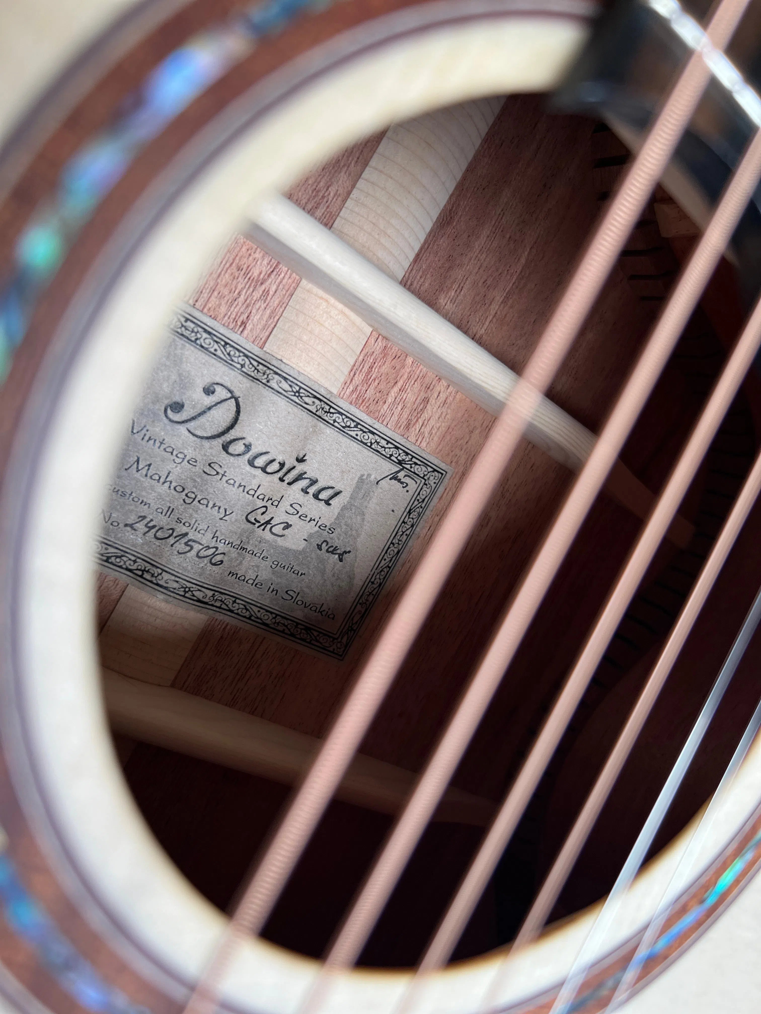 Dowina Mahogany GAC SWS, Acoustic Guitar for sale at Richards Guitars.