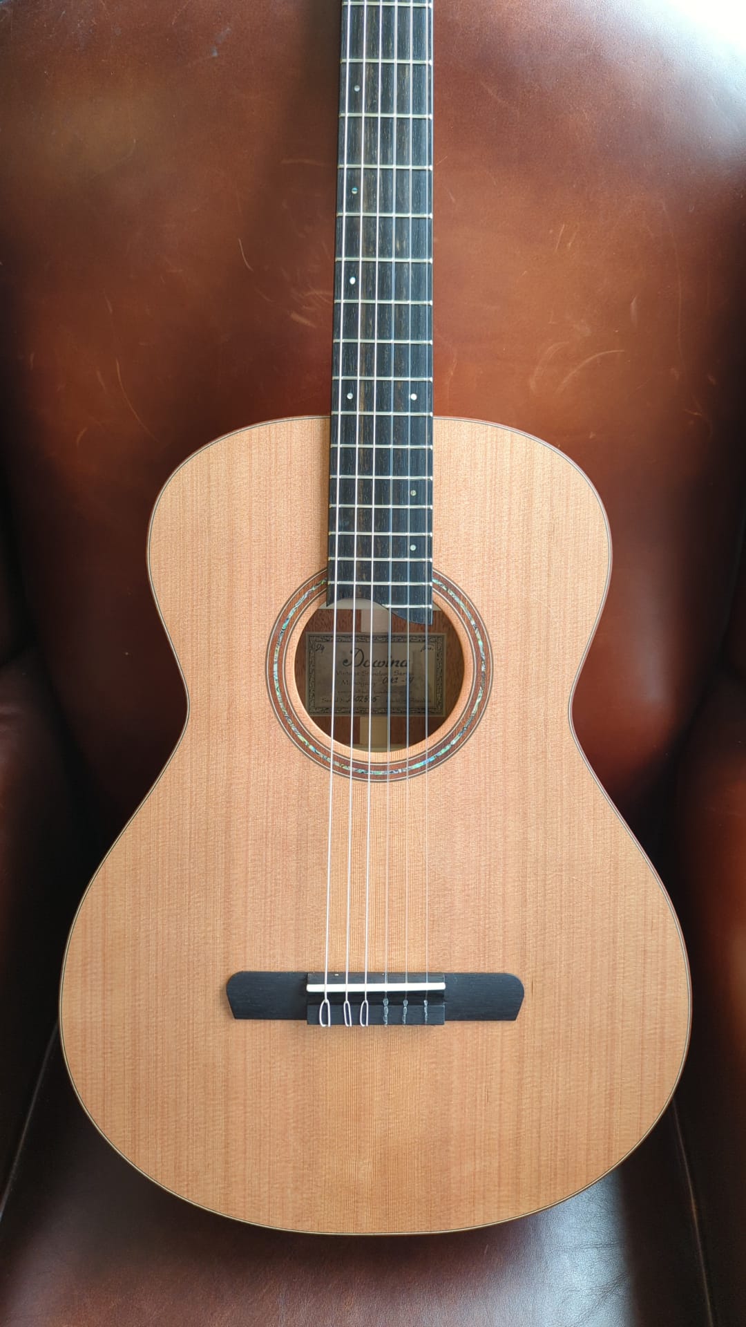 Dowina Mahogany OMG-H Cedar.  OM Body Nylon Hybrid Acoustic Guitar, Nylon Strung Guitar for sale at Richards Guitars.