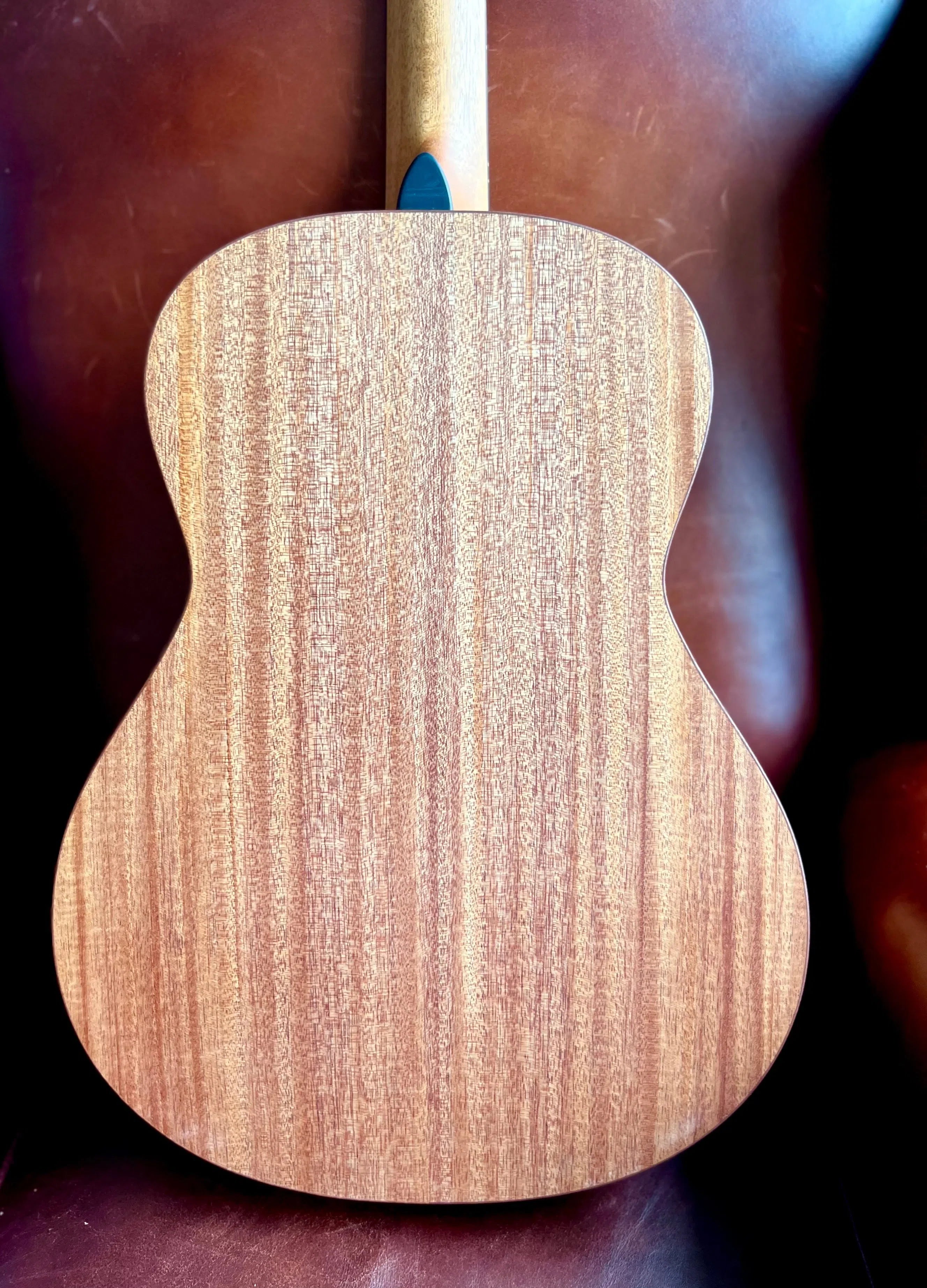 Dowina Mahogany OMG-H Cedar.  OM Body Nylon Hybrid Acoustic Guitar, Nylon Strung Guitar for sale at Richards Guitars.