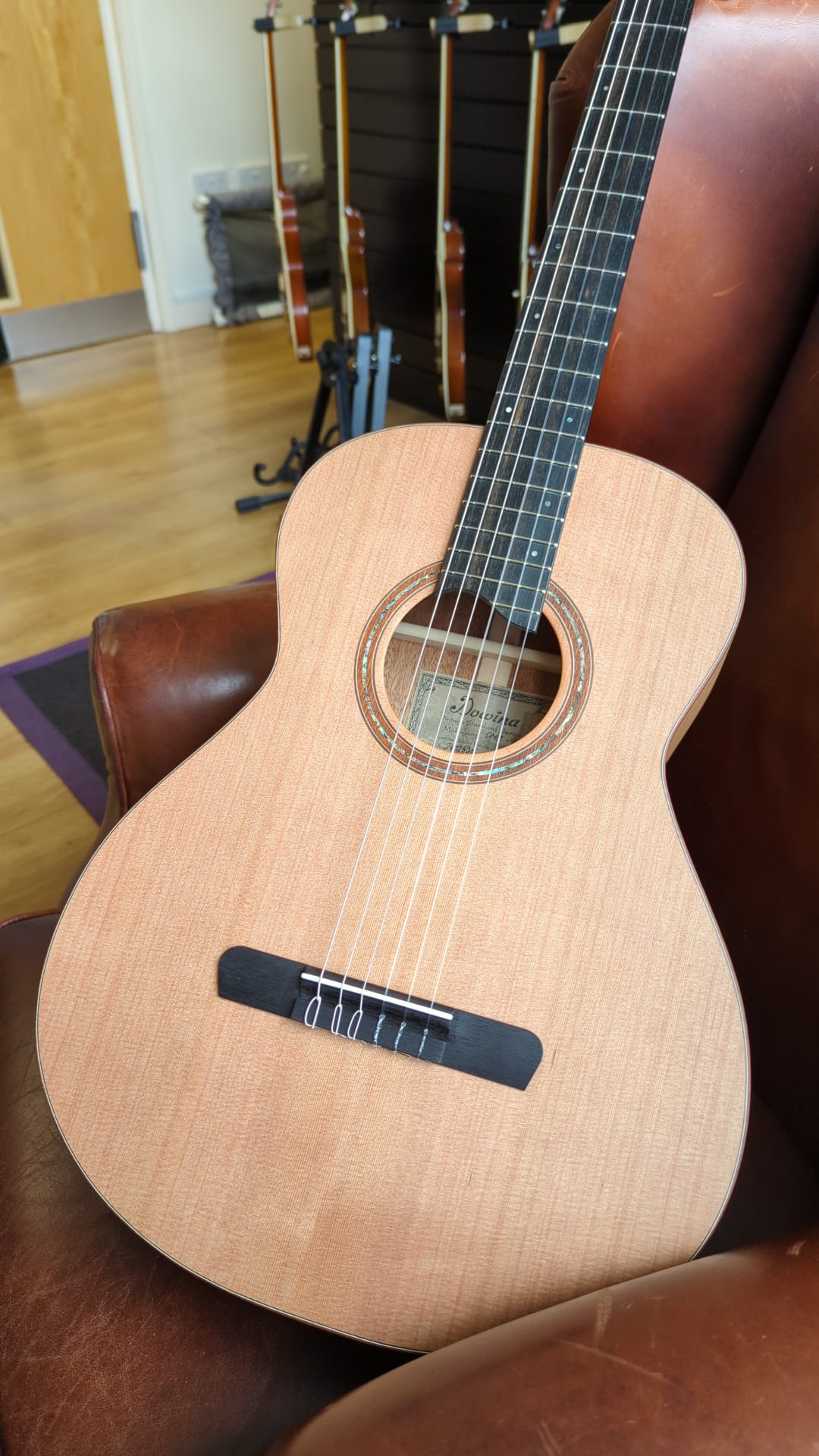 Dowina Mahogany OMG-H Cedar.  OM Body Nylon Hybrid Acoustic Guitar, Nylon Strung Guitar for sale at Richards Guitars.