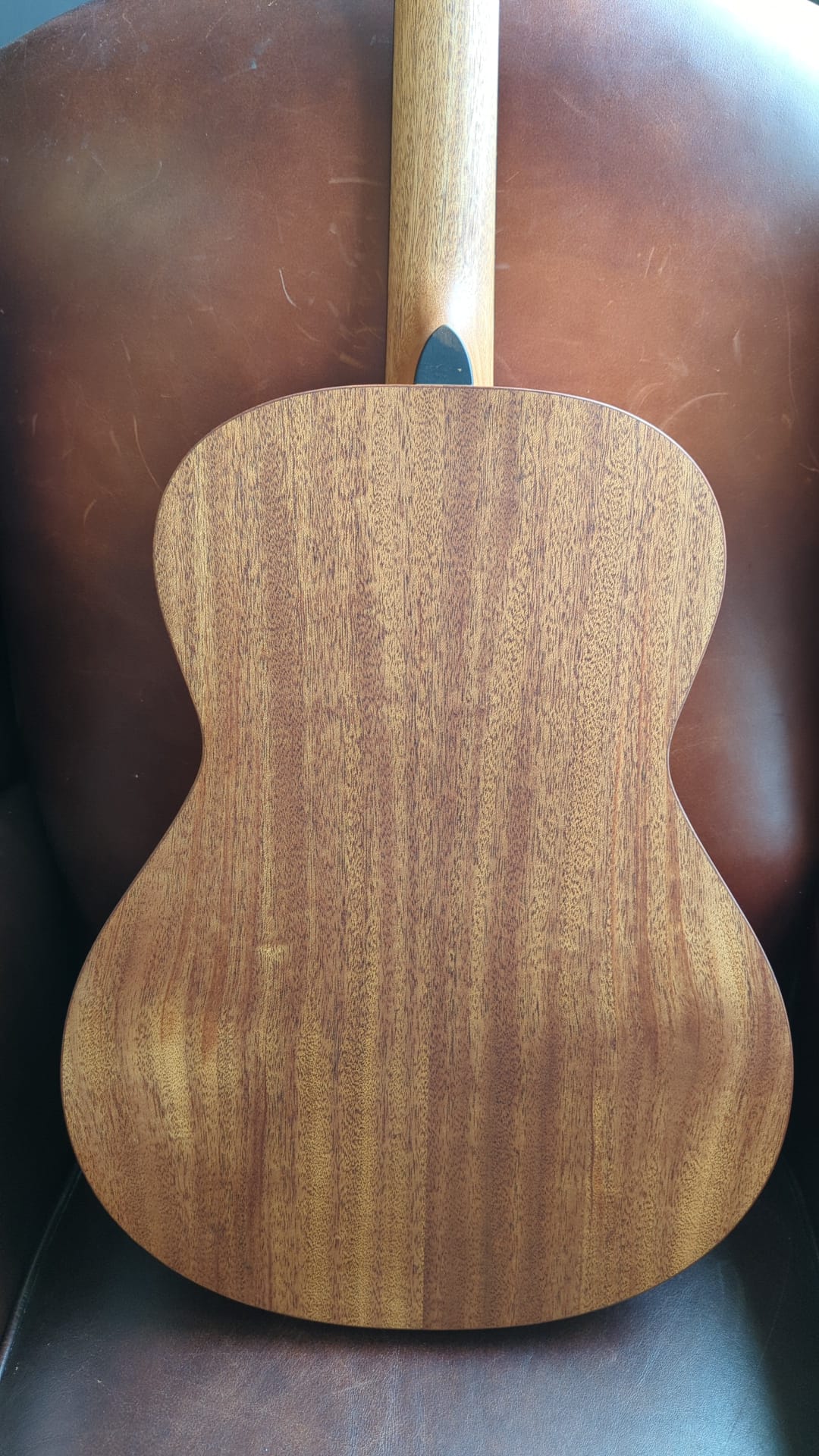 Dowina Mahogany OMG-H Cedar.  OM Body Nylon Hybrid Acoustic Guitar, Nylon Strung Guitar for sale at Richards Guitars.