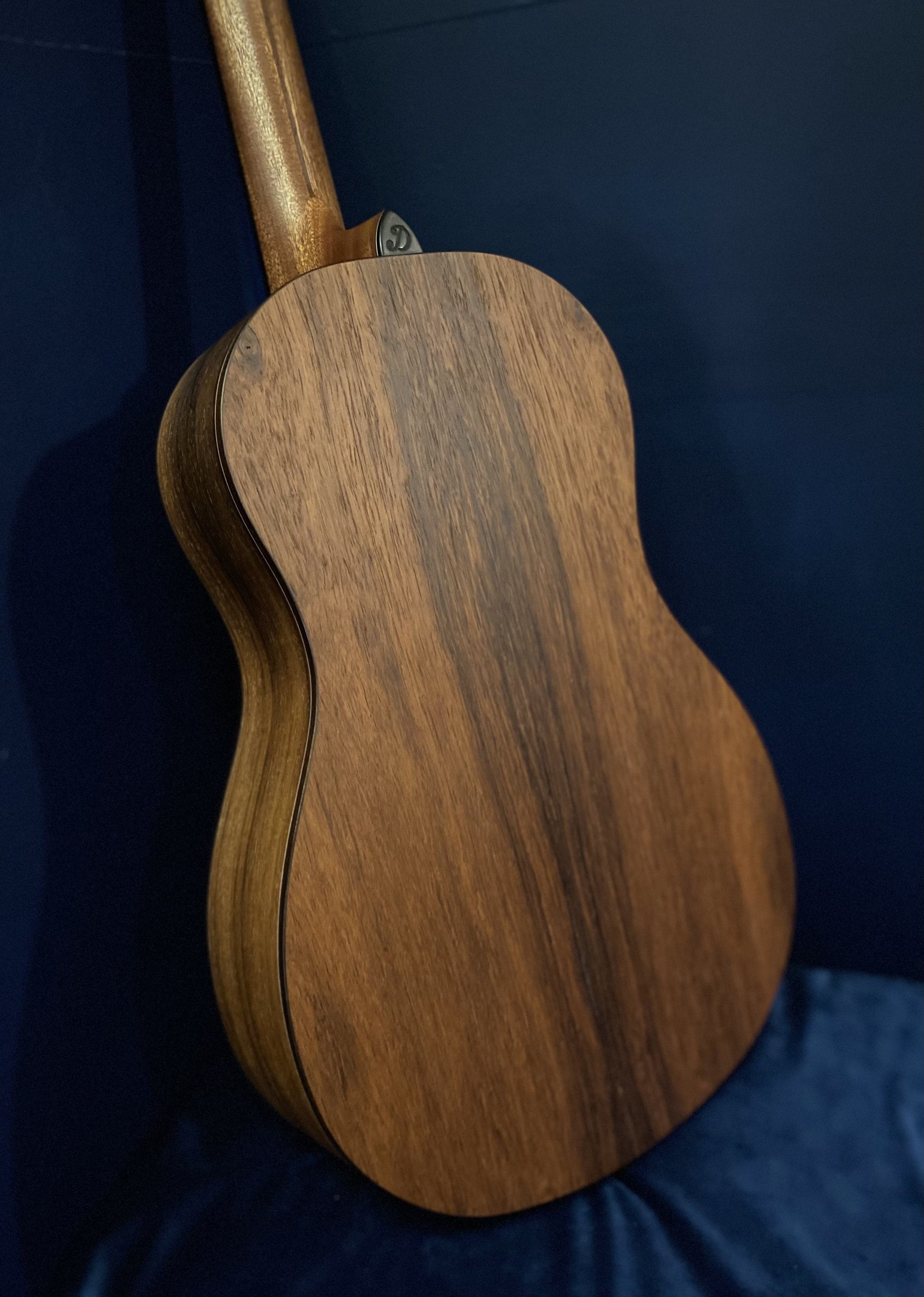 Dowina Master Build Madagascar Rosewood BV Custom With Slotted Headstock, Acoustic Guitar for sale at Richards Guitars.