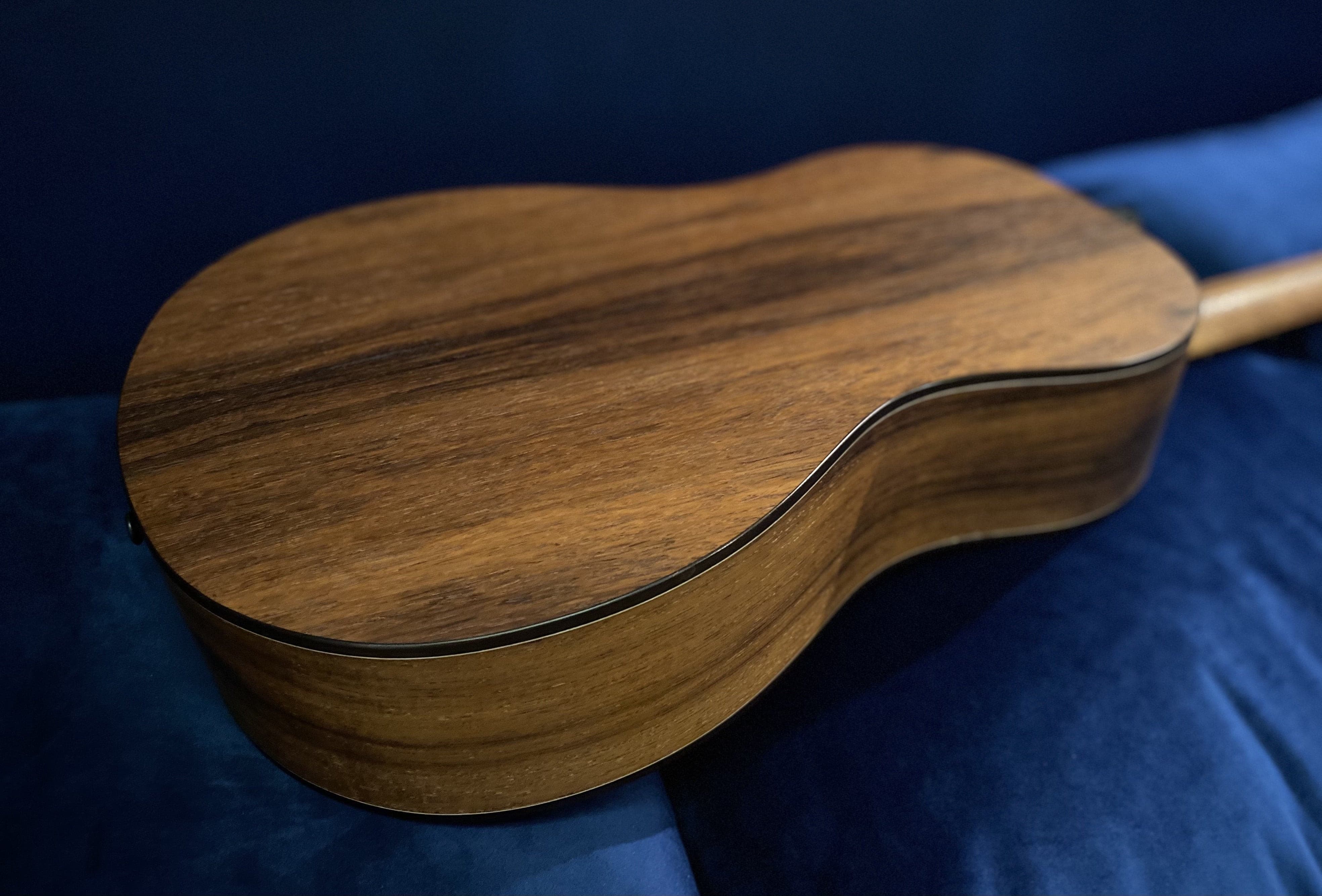 Dowina Master Build Madagascar Rosewood BV Custom With Slotted Headstock, Acoustic Guitar for sale at Richards Guitars.