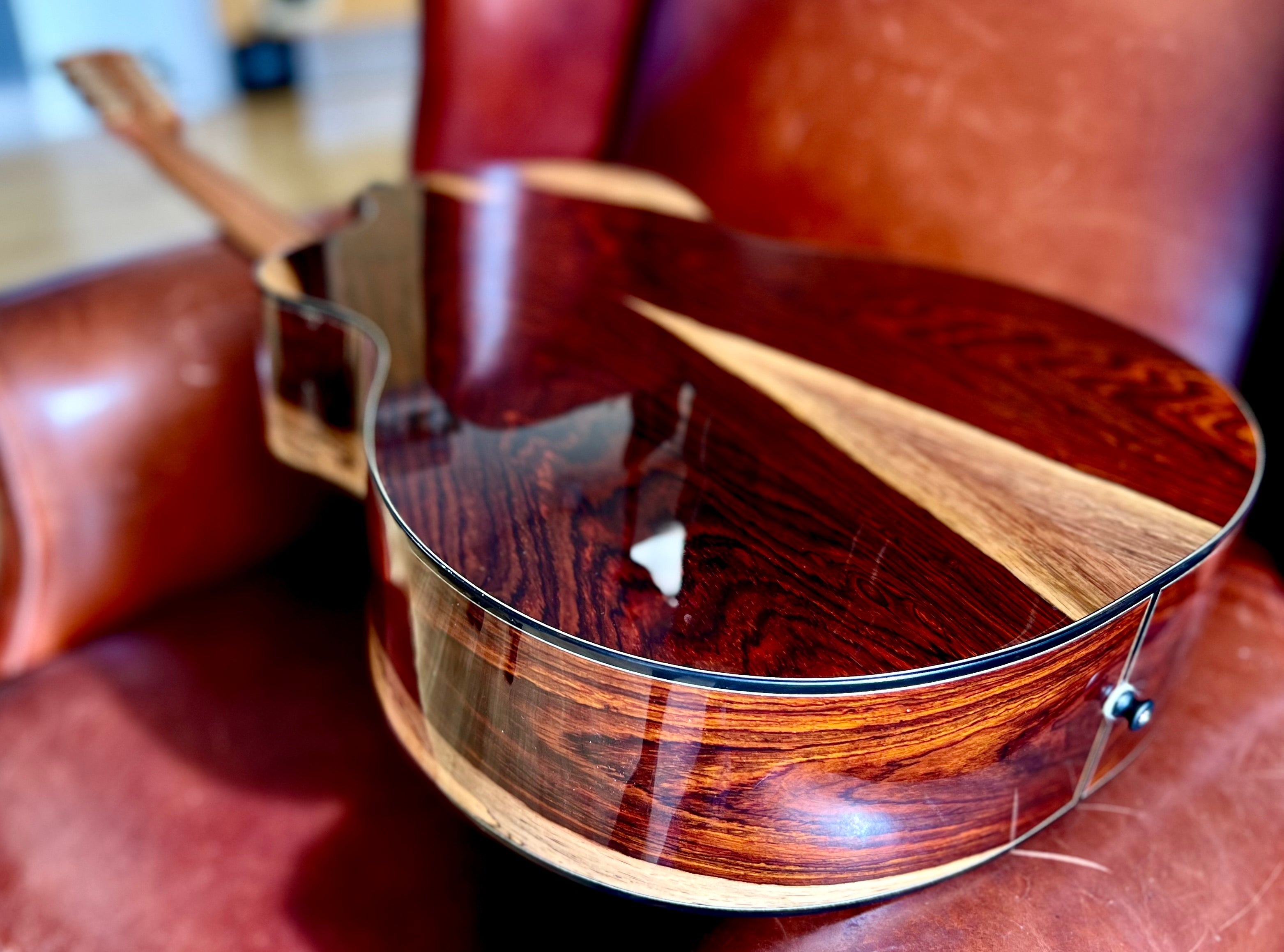 Dowina Masters Gallery Edition Cocobolo GAC SWS, Acoustic Guitar for sale at Richards Guitars.