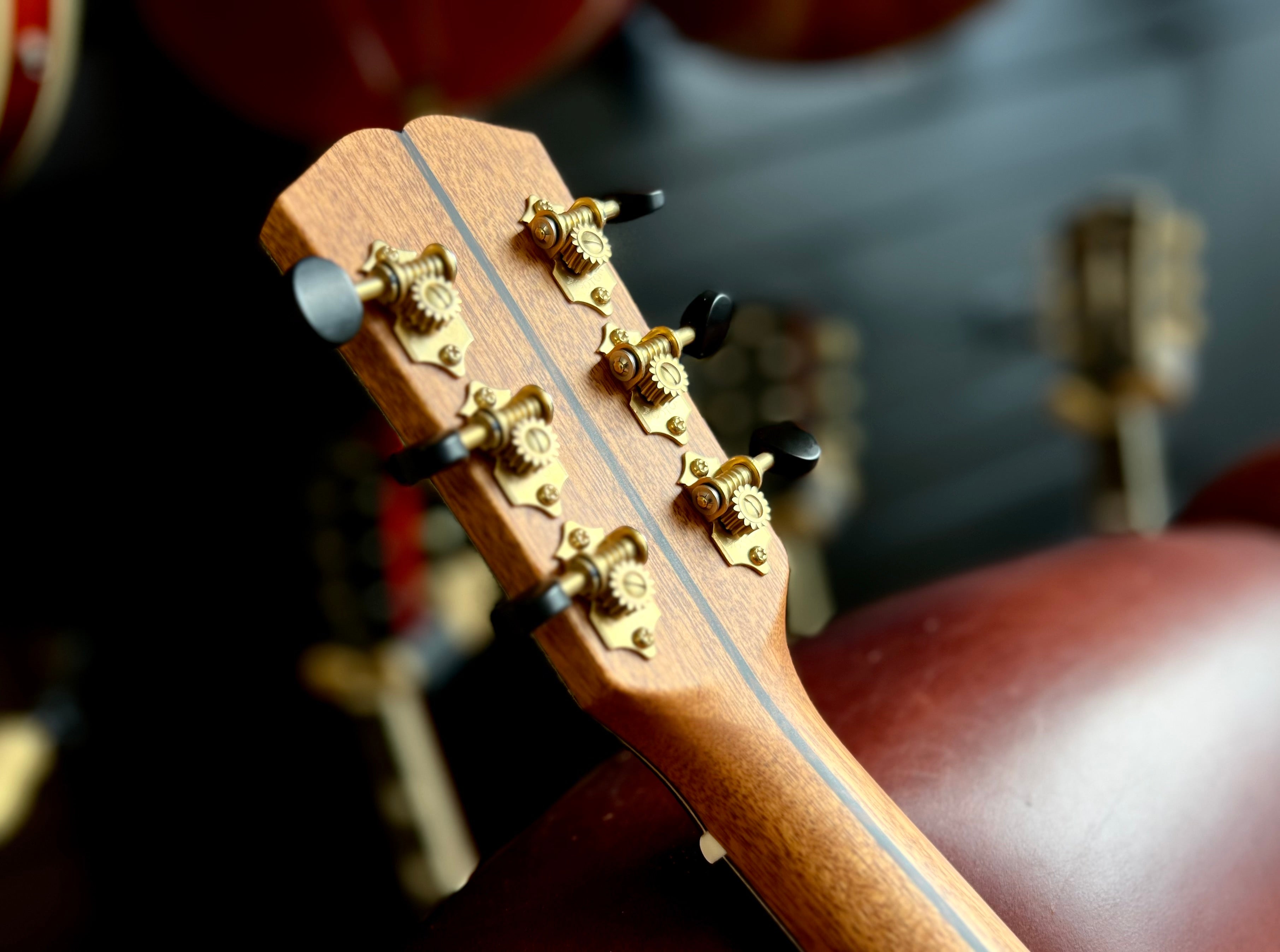 Dowina Masters Gallery Edition Cocobolo GAC SWS, Acoustic Guitar for sale at Richards Guitars.