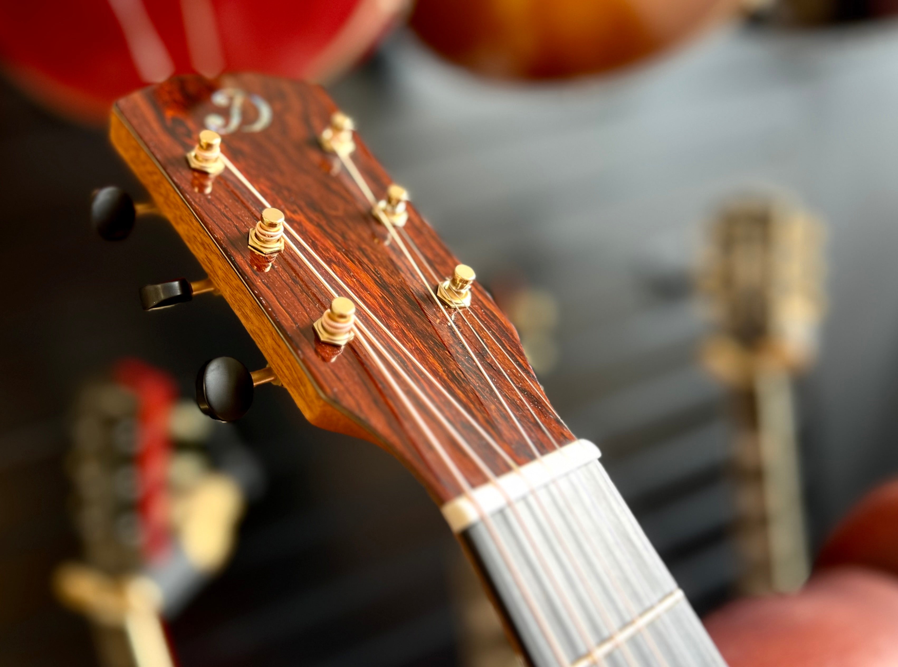 Dowina Masters Gallery Edition Cocobolo GAC SWS, Acoustic Guitar for sale at Richards Guitars.