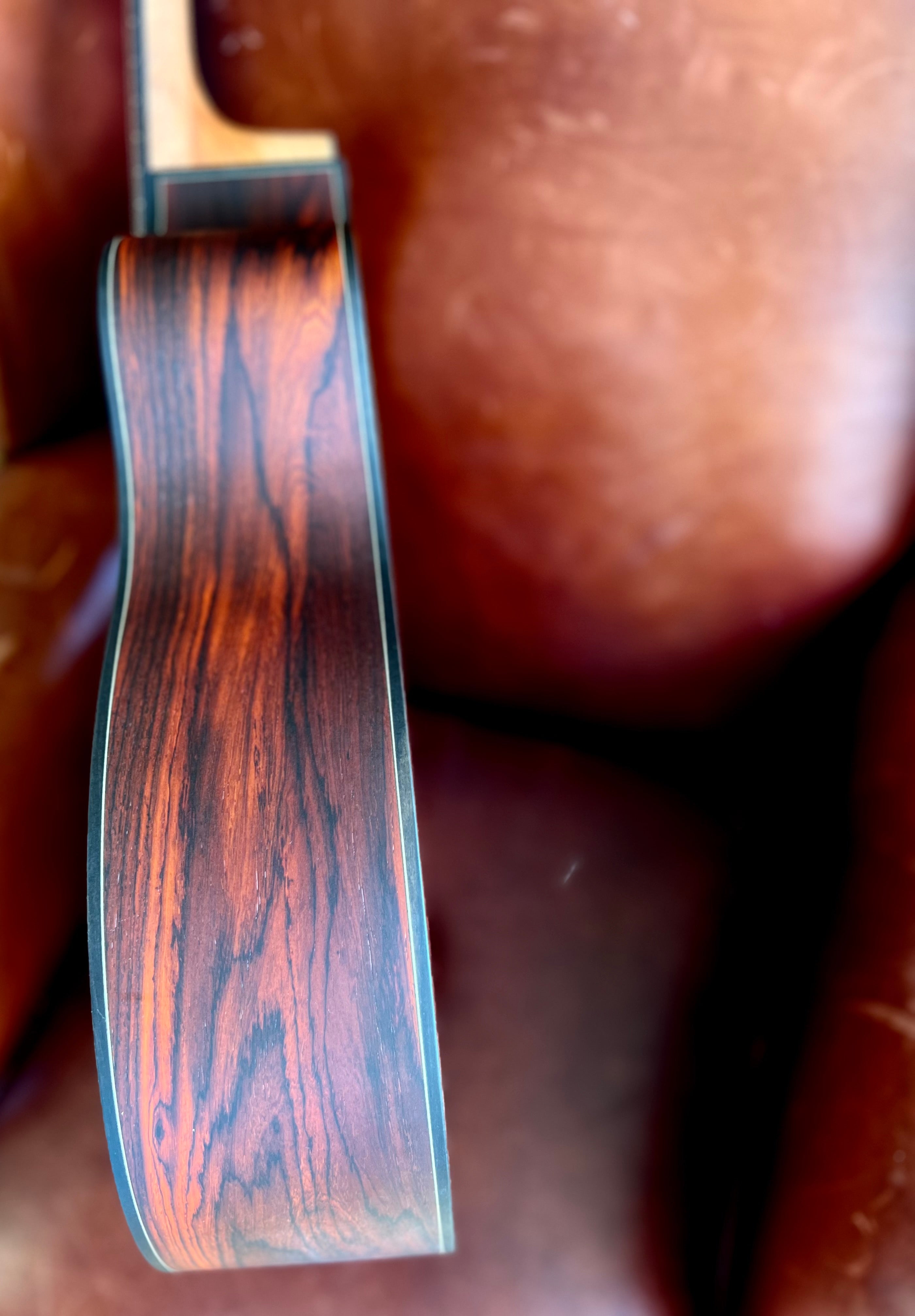 Dowina Masters Gallery Edition Cocobolo GAC SWS, Acoustic Guitar for sale at Richards Guitars.