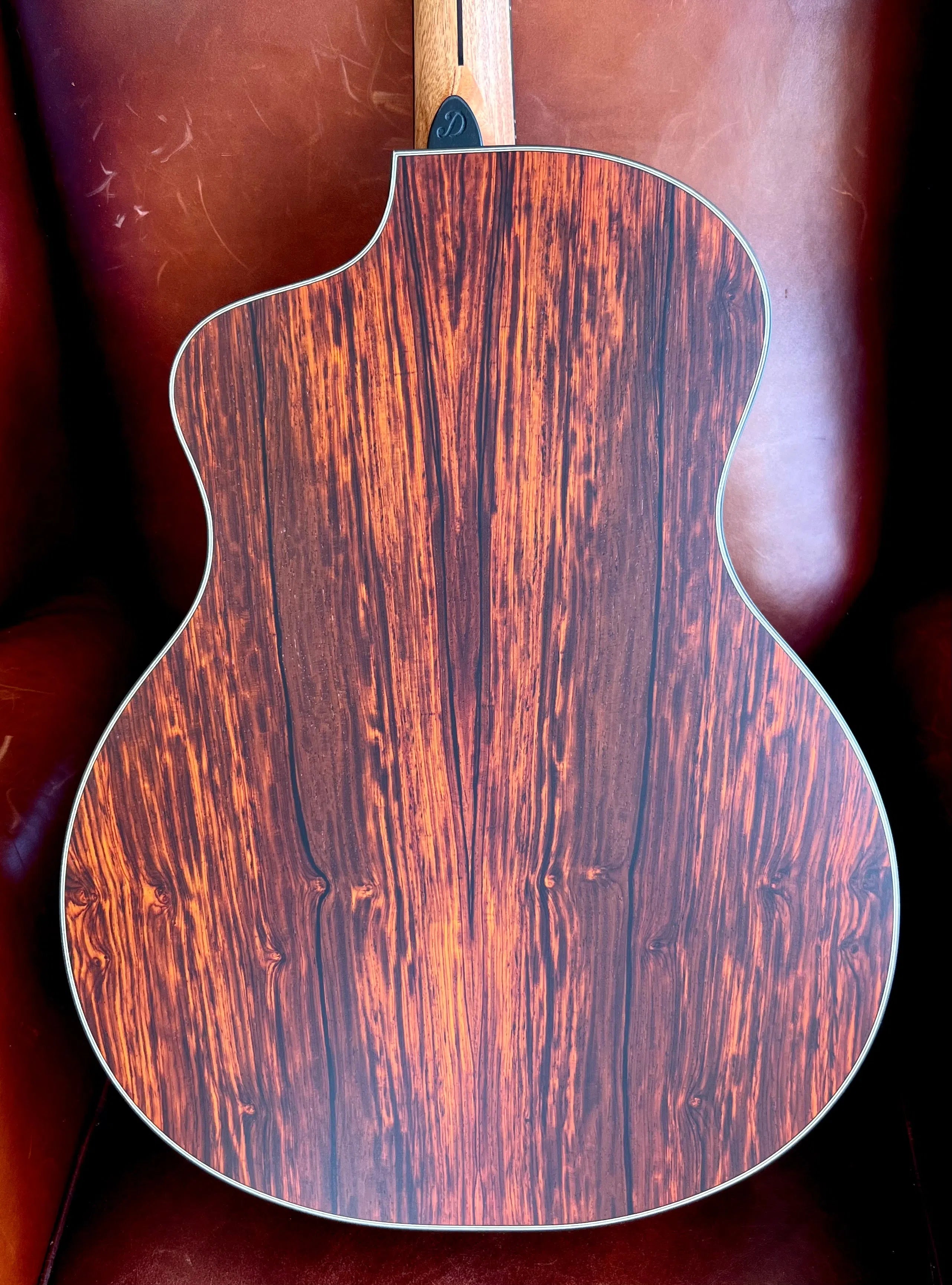 Dowina Masters Gallery Edition Cocobolo GAC SWS, Acoustic Guitar for sale at Richards Guitars.