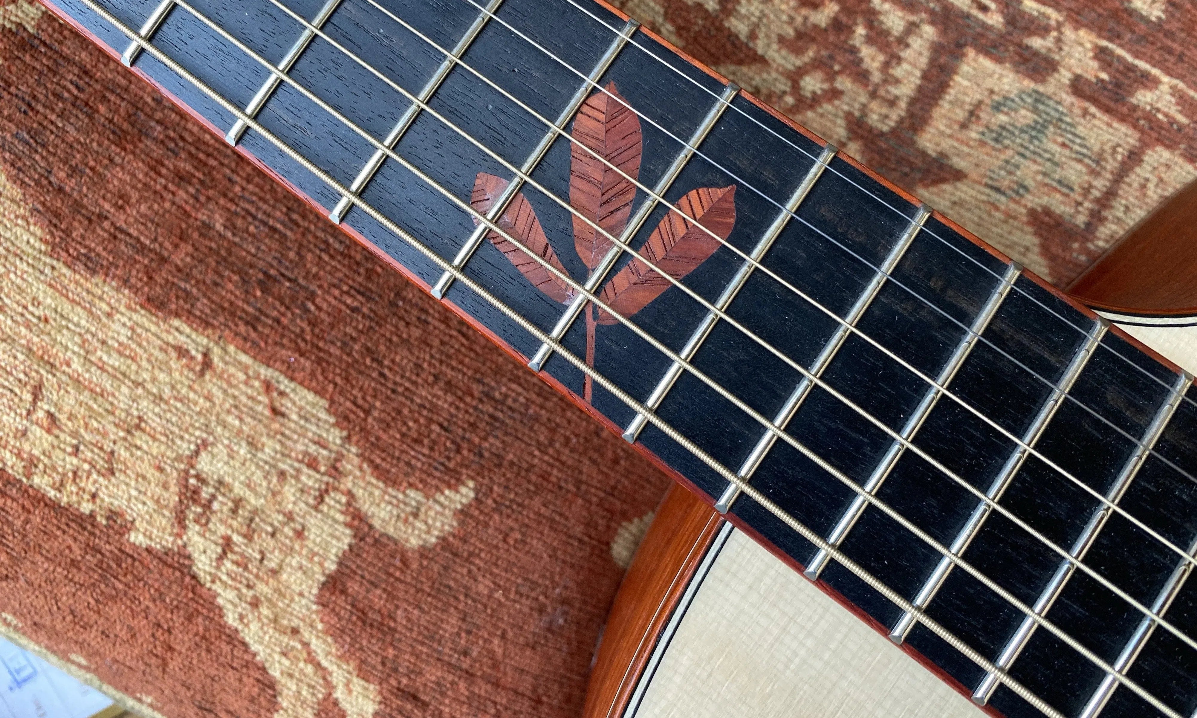 Dowina PADAUK GAC SWS (Swiss Spruce), Acoustic Guitar for sale at Richards Guitars.