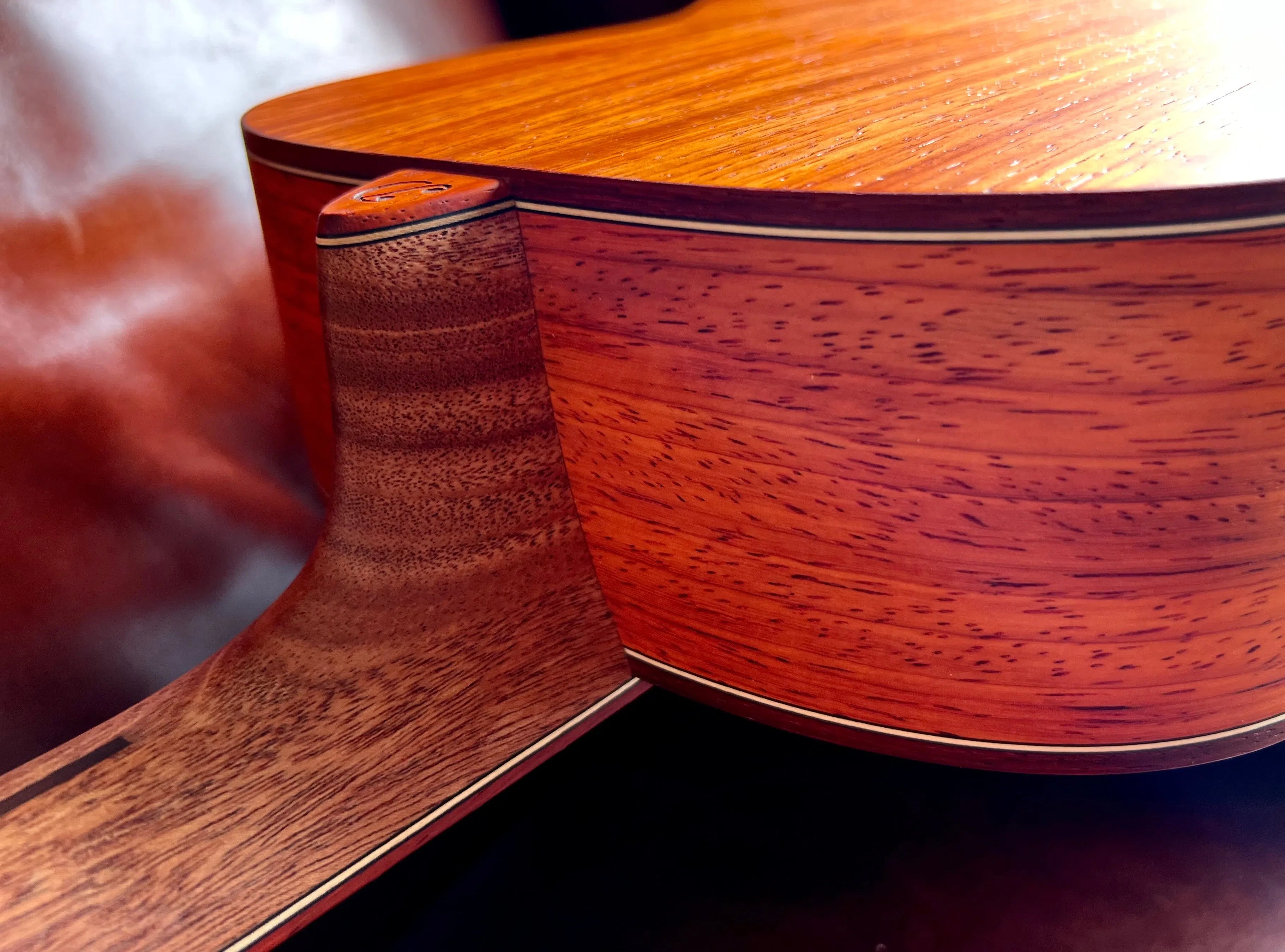 Dowina PADAUK OMG TSWS (Thermo Cured Swiss Spruce), Acoustic Guitar for sale at Richards Guitars.