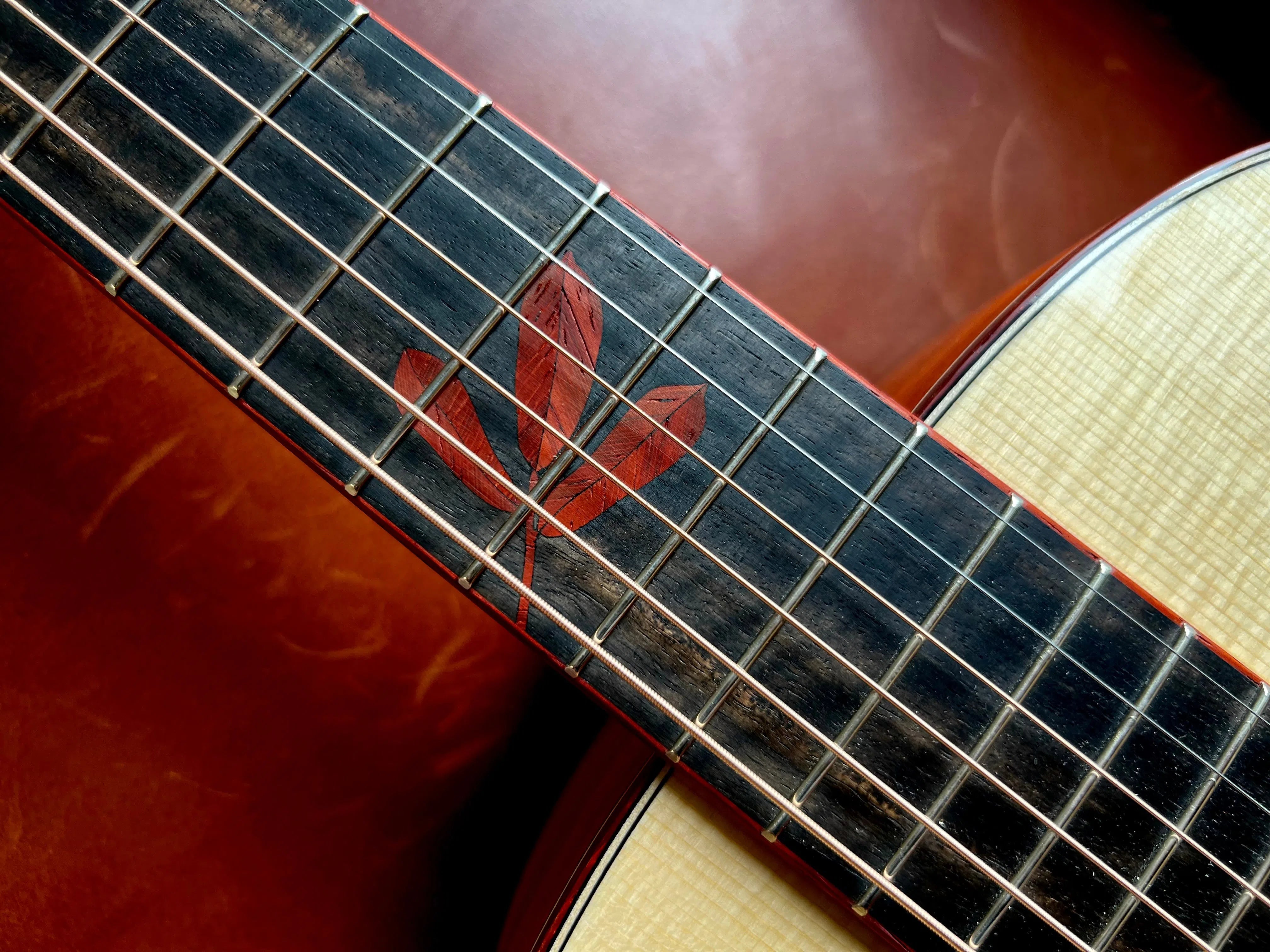 Dowina PADAUK OMG TSWS (Thermo Cured Swiss Spruce), Acoustic Guitar for sale at Richards Guitars.