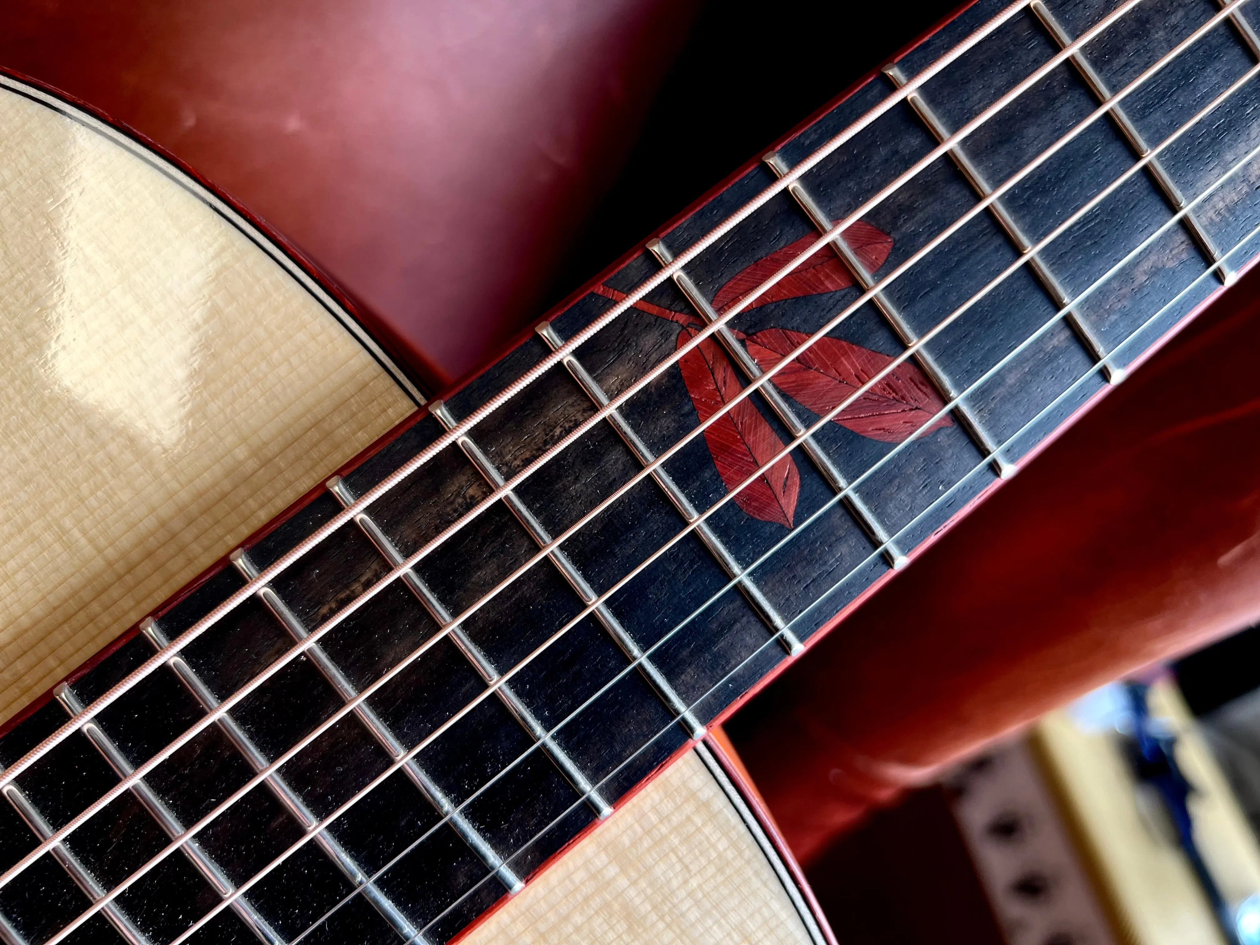 Dowina PADAUK OMG TSWS (Thermo Cured Swiss Spruce), Acoustic Guitar for sale at Richards Guitars.