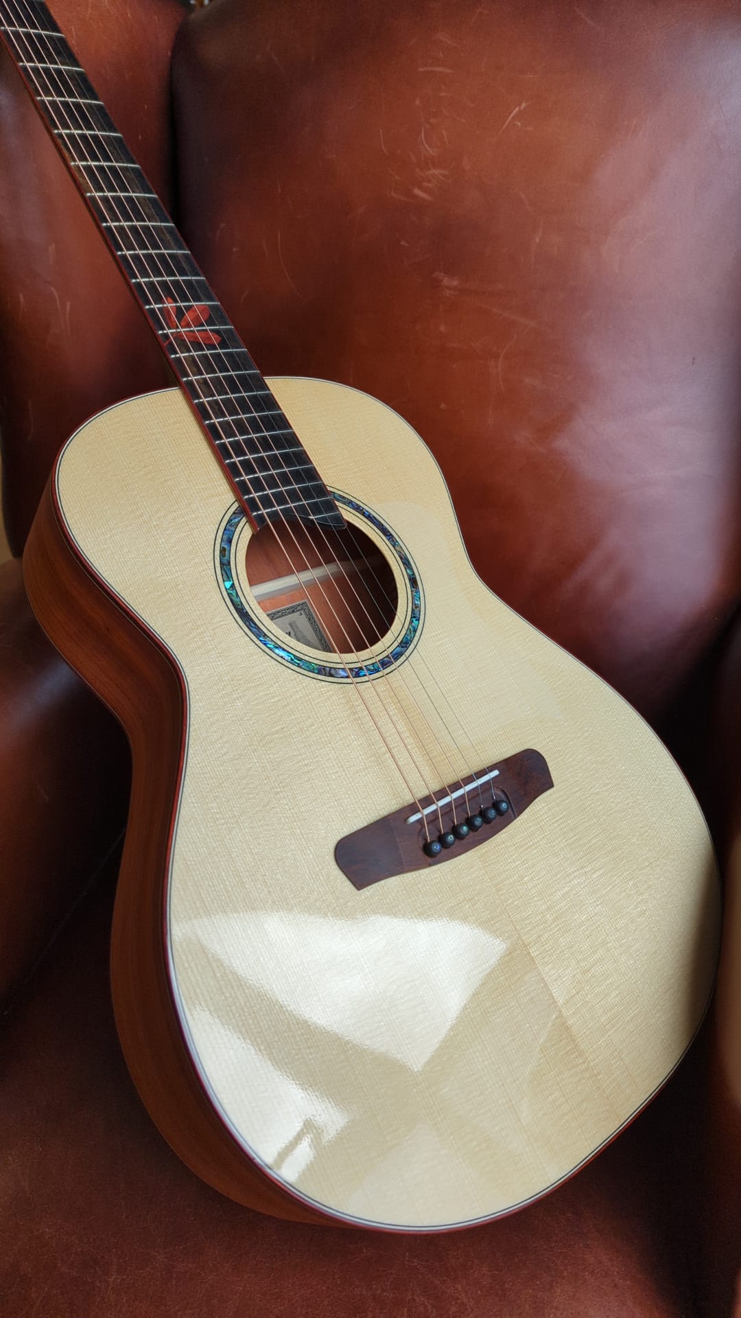 Dowina PADAUK OMG TSWS (Thermo Cured Swiss Spruce), Acoustic Guitar for sale at Richards Guitars.