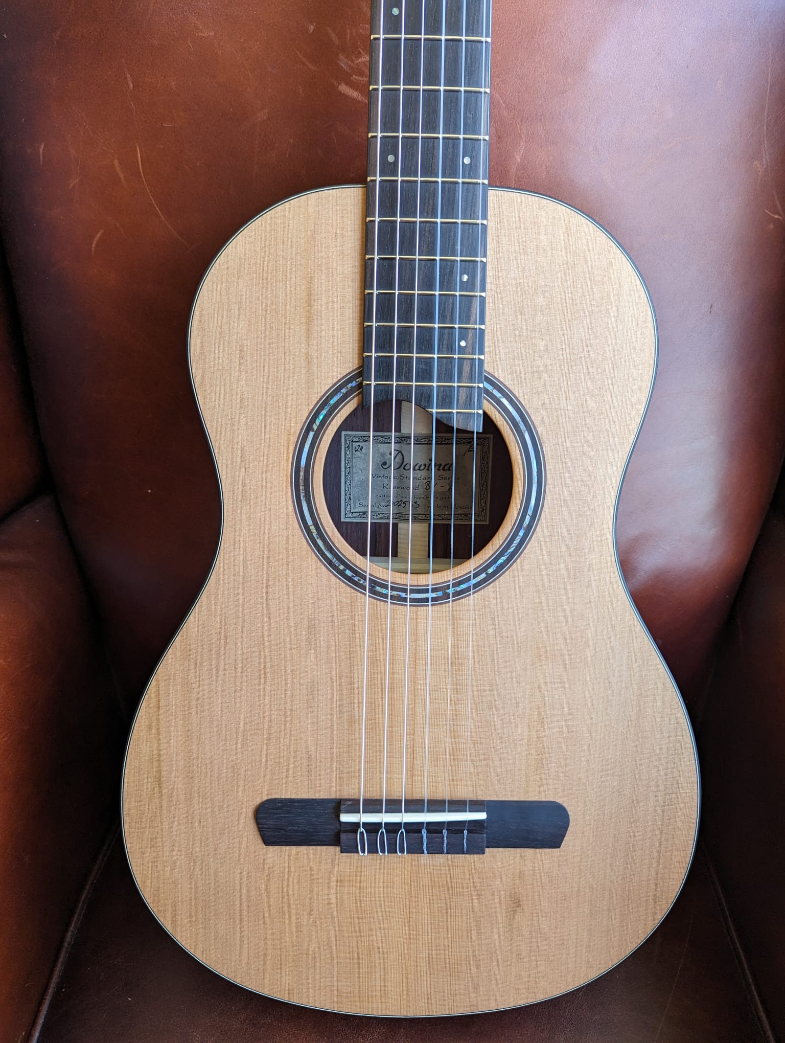 Dowina Rosewood BV-H, Nylon Strung Guitar for sale at Richards Guitars.