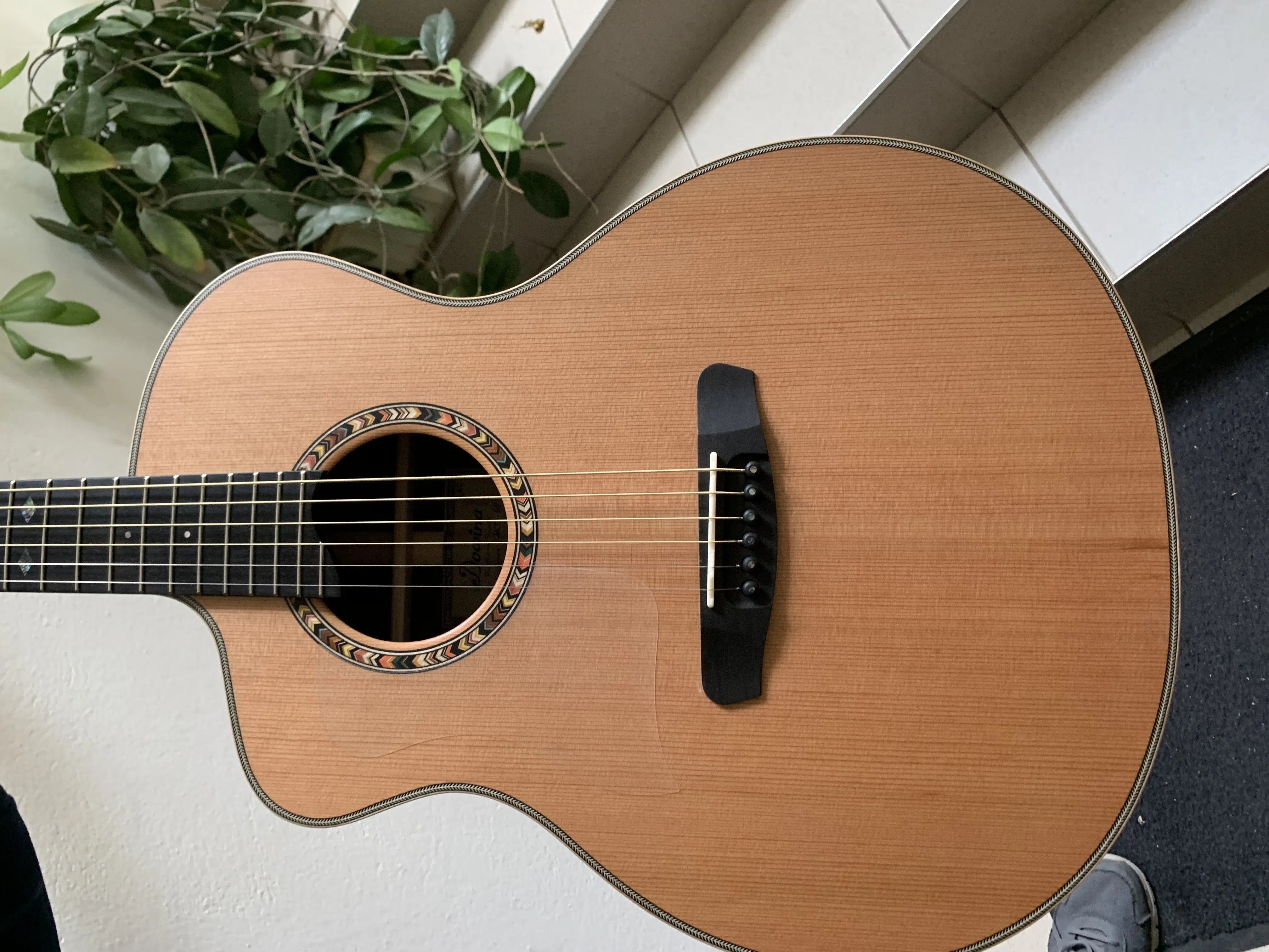 Dowina Rosewood (Ceres) GAC Cedar Top Left Handed, Acoustic Guitar for sale at Richards Guitars.