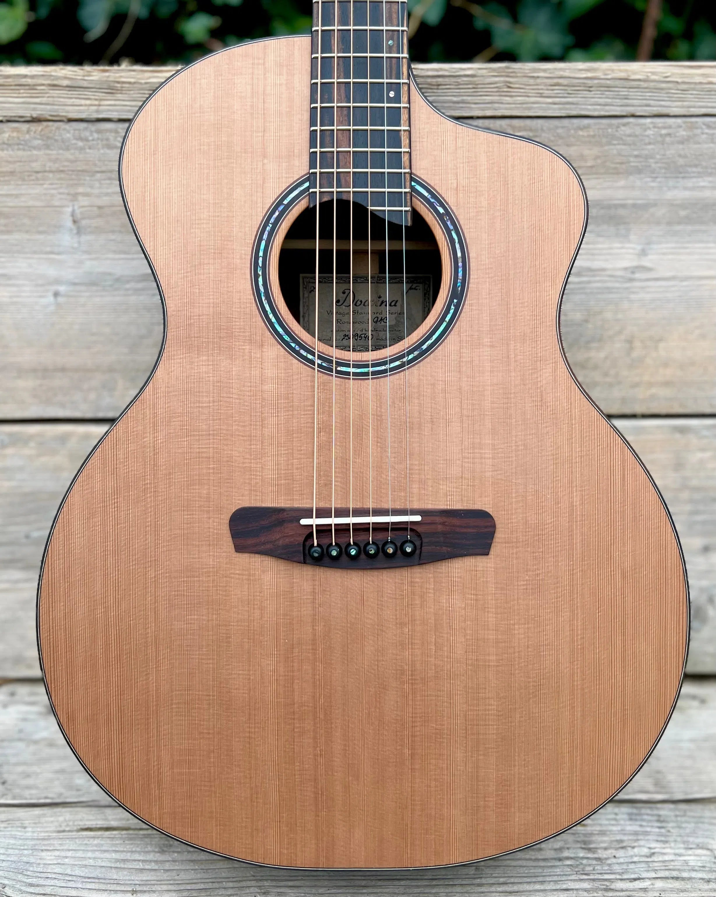 Dowina Rosewood GAC, Acoustic Guitar for sale at Richards Guitars.