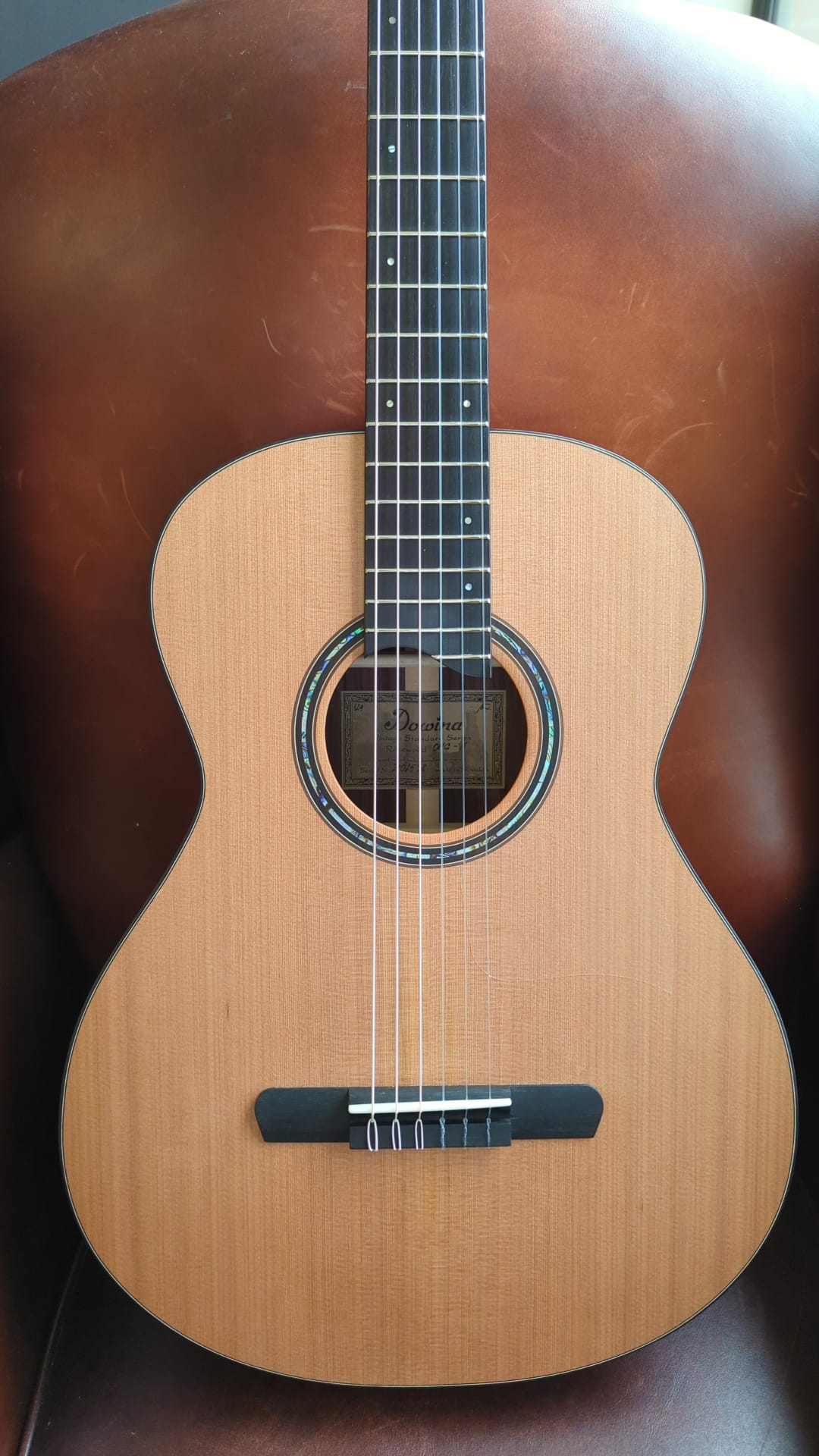 Dowina Rosewood OMG-H. OM Body Nylon Hybrid Acoustic Guitar, Nylon Strung Guitar for sale at Richards Guitars.