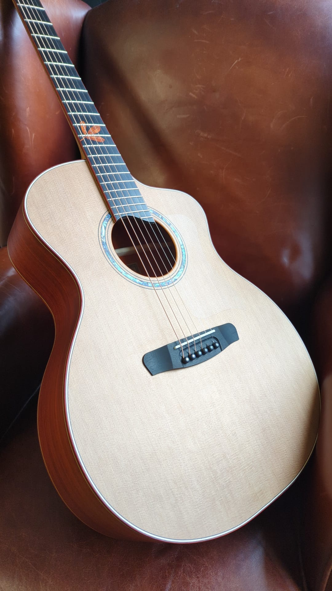 Dowina STRIP PADAUK GAC, Acoustic Guitar for sale at Richards Guitars.