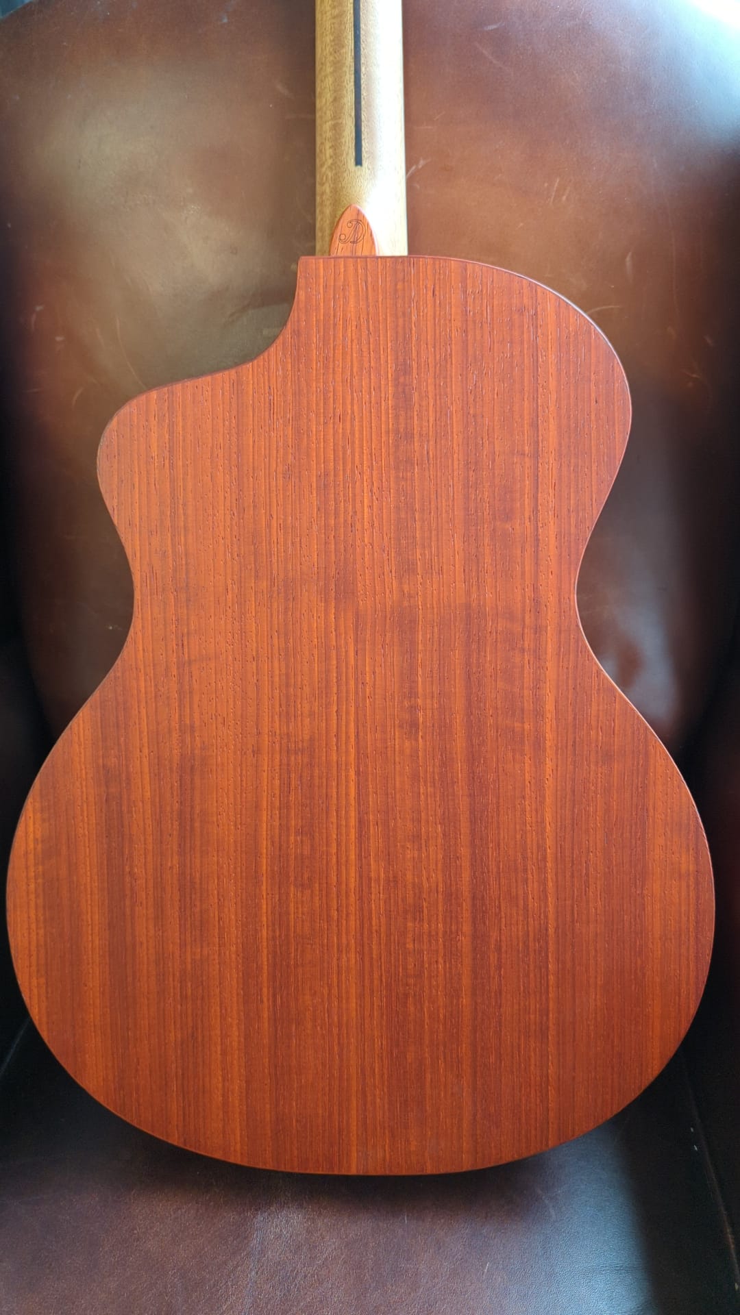 Dowina STRIP PADAUK GAC, Acoustic Guitar for sale at Richards Guitars.