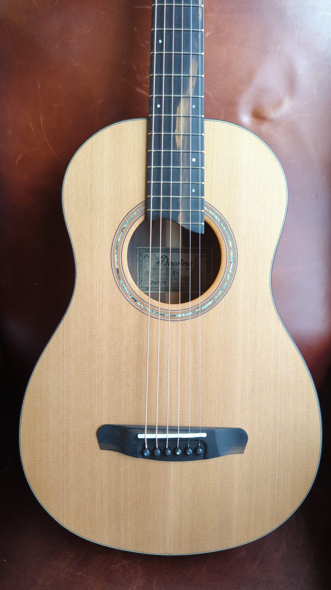 Dowina Walnut BV, Acoustic Guitar for sale at Richards Guitars.