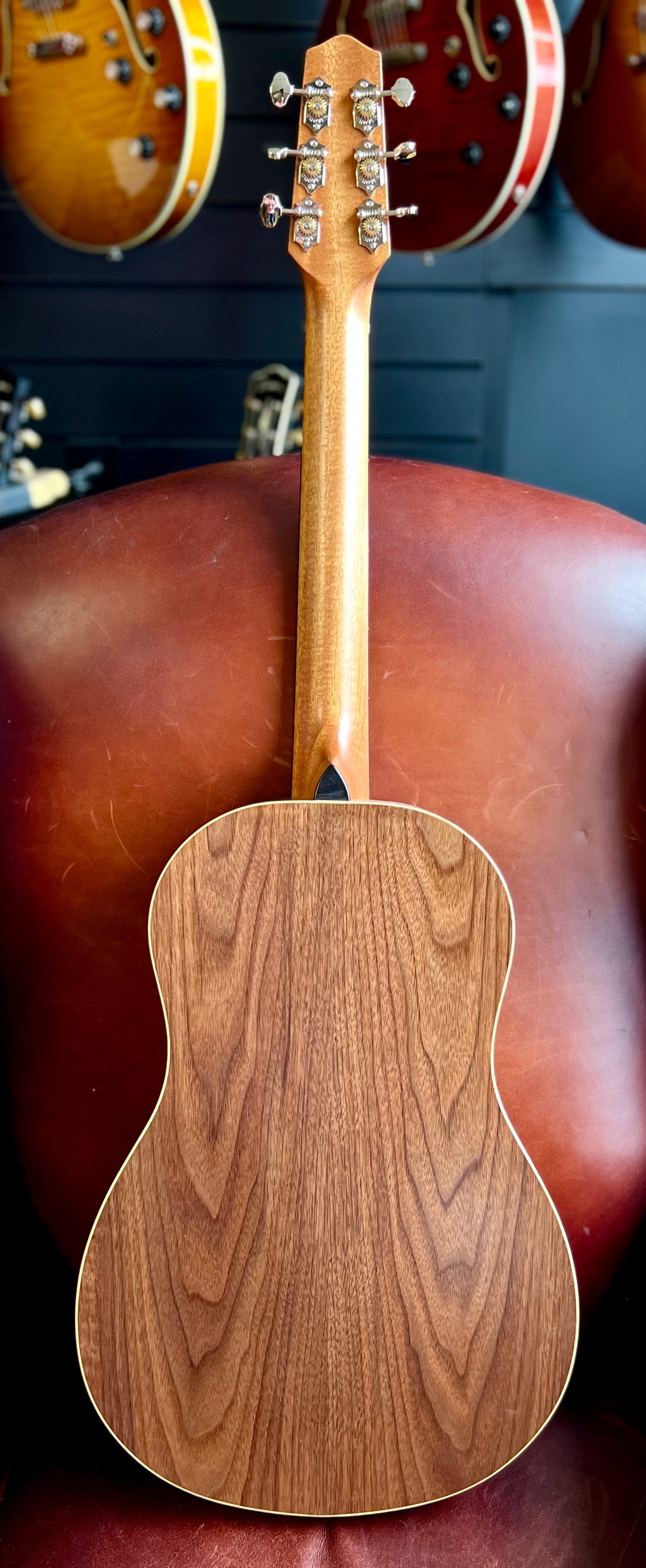 Dowina Walnut BV Deluxe Torrified Swiss Moon Spruce, Acoustic Guitar for sale at Richards Guitars.