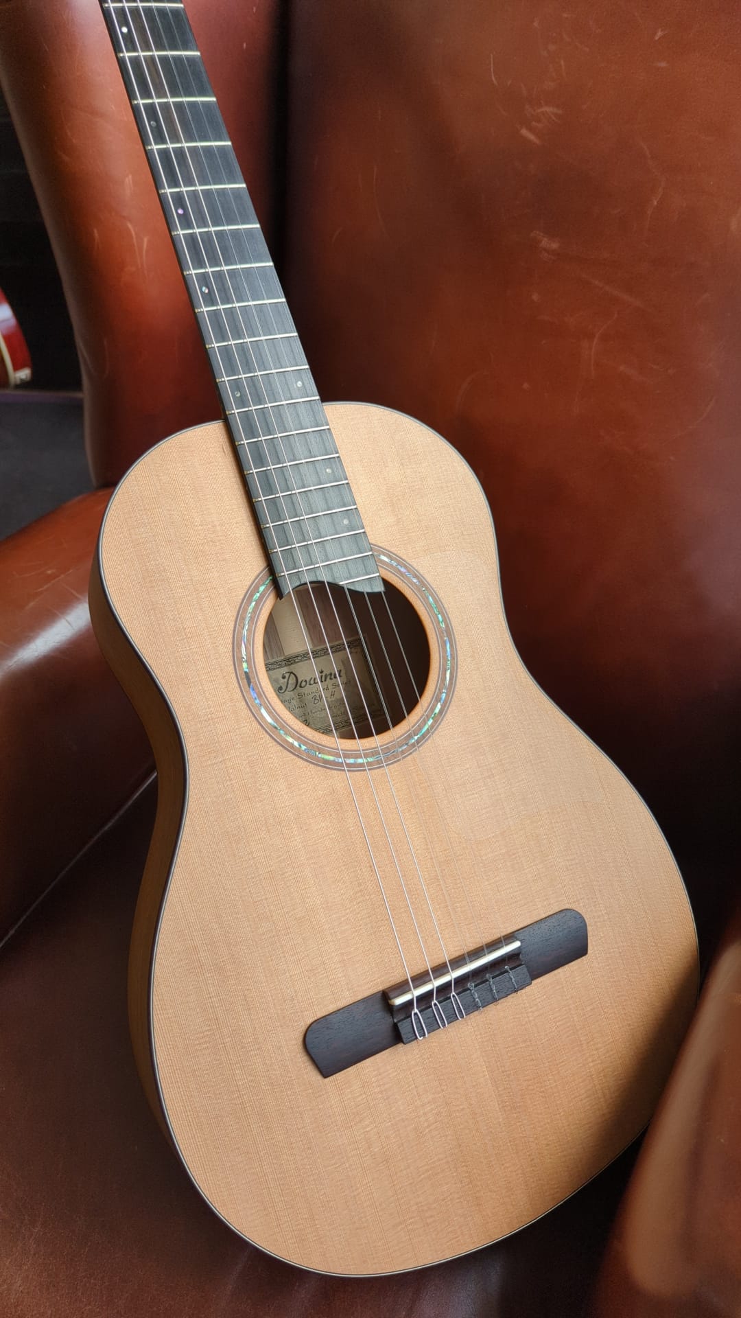 Dowina Walnut BV-H, Nylon Strung Guitar for sale at Richards Guitars.