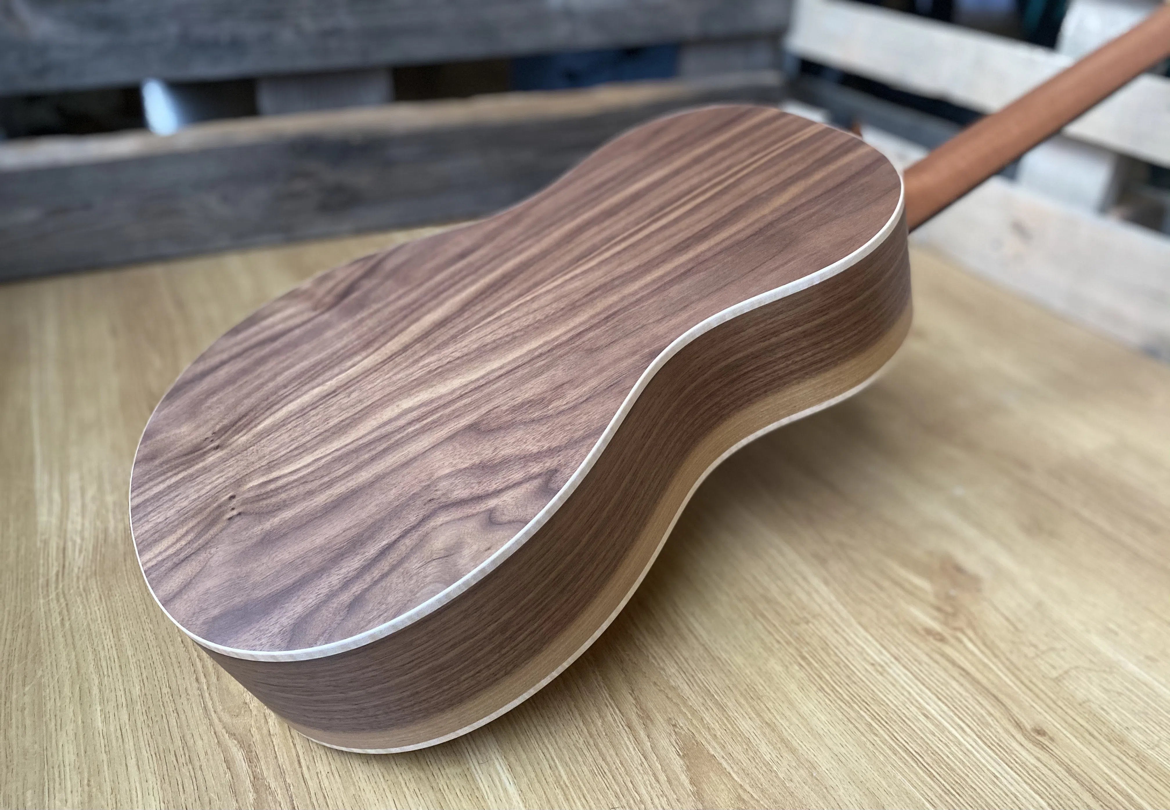 Dowina Walnut BV, Acoustic Guitar for sale at Richards Guitars.